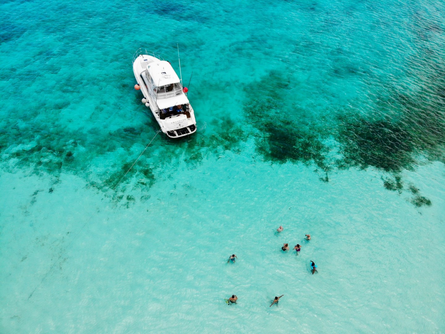 Photo Credit: Photo by Fernando Jorge on Unsplash