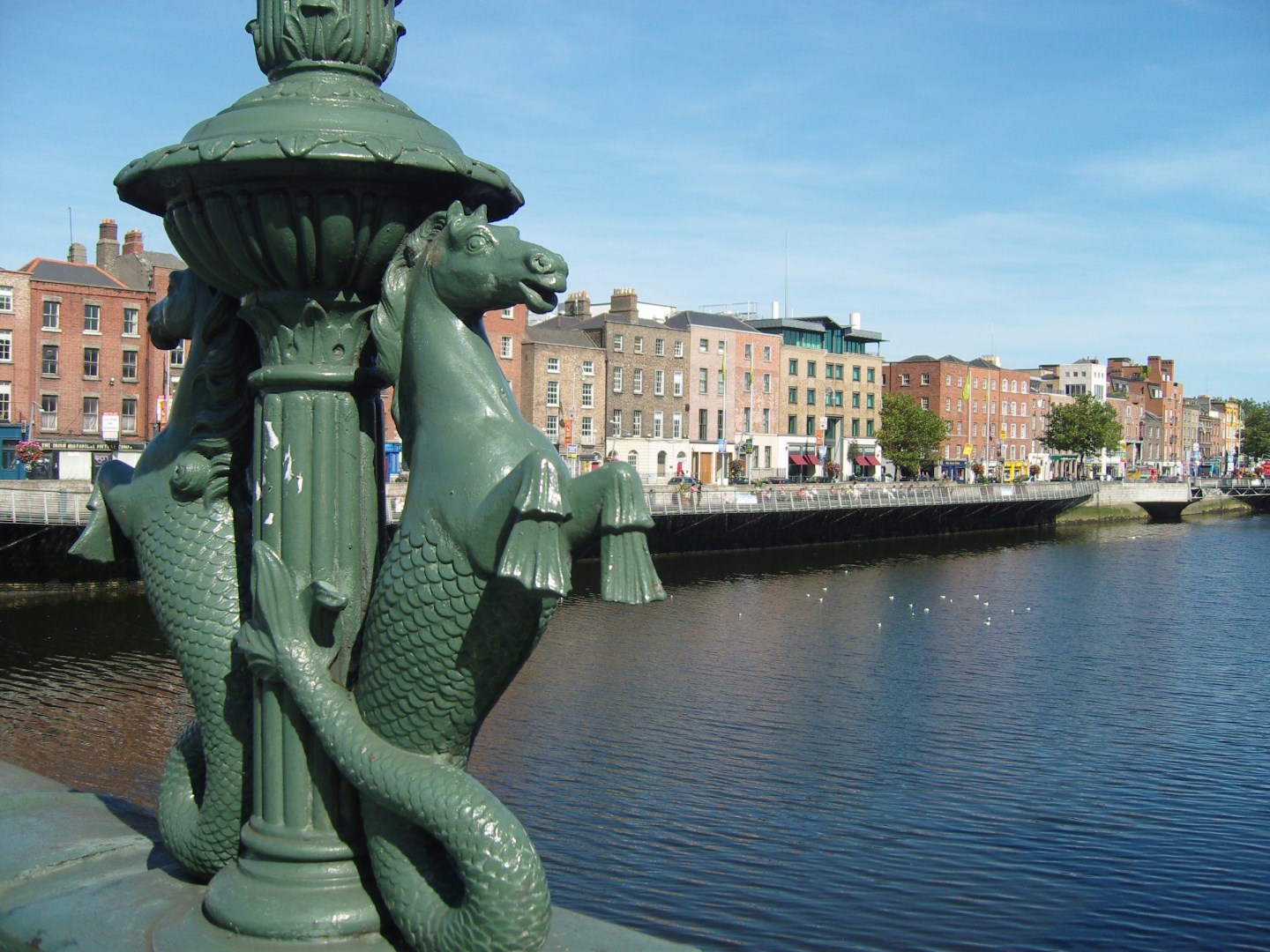 Grattan Bridge - Photo Credit: Photo by Thomas Vogel on Unsplash