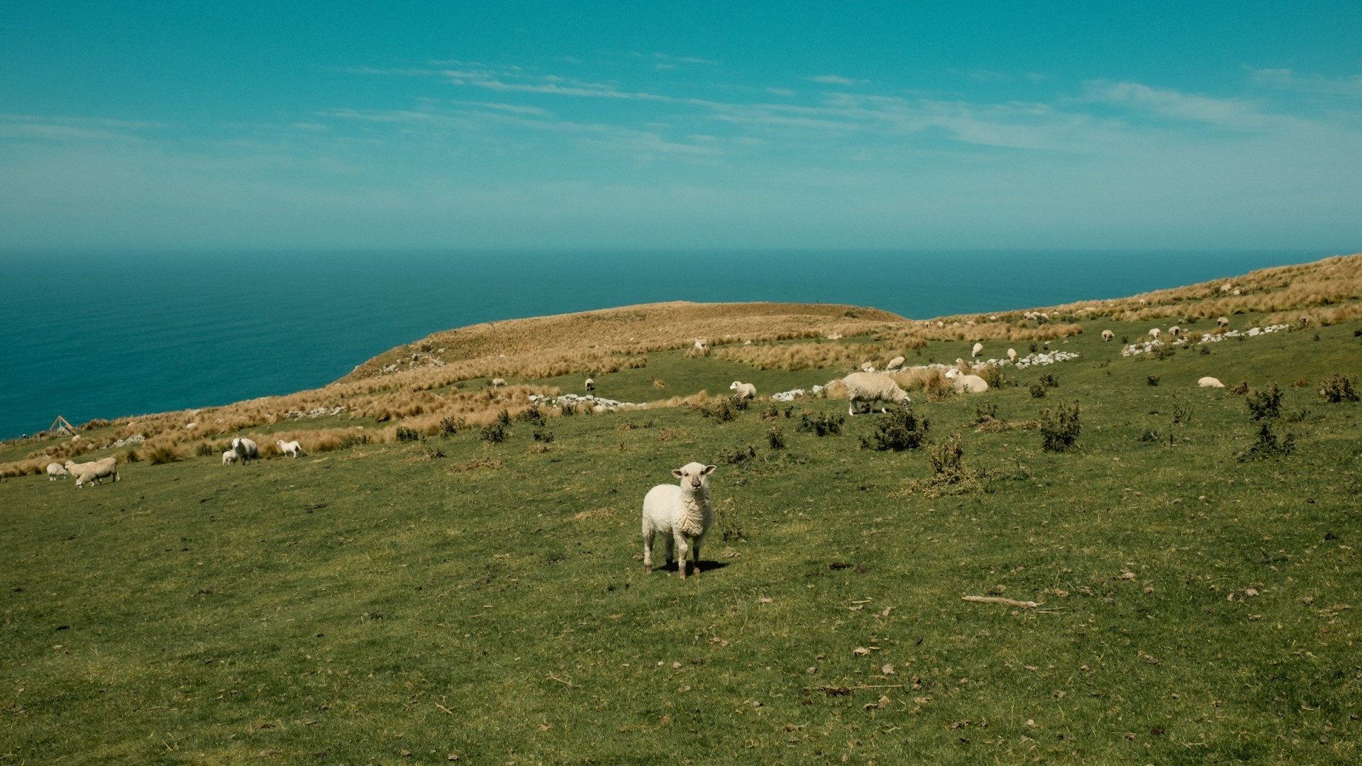  Photo Credit: Photo by Tom Macret on Unsplash