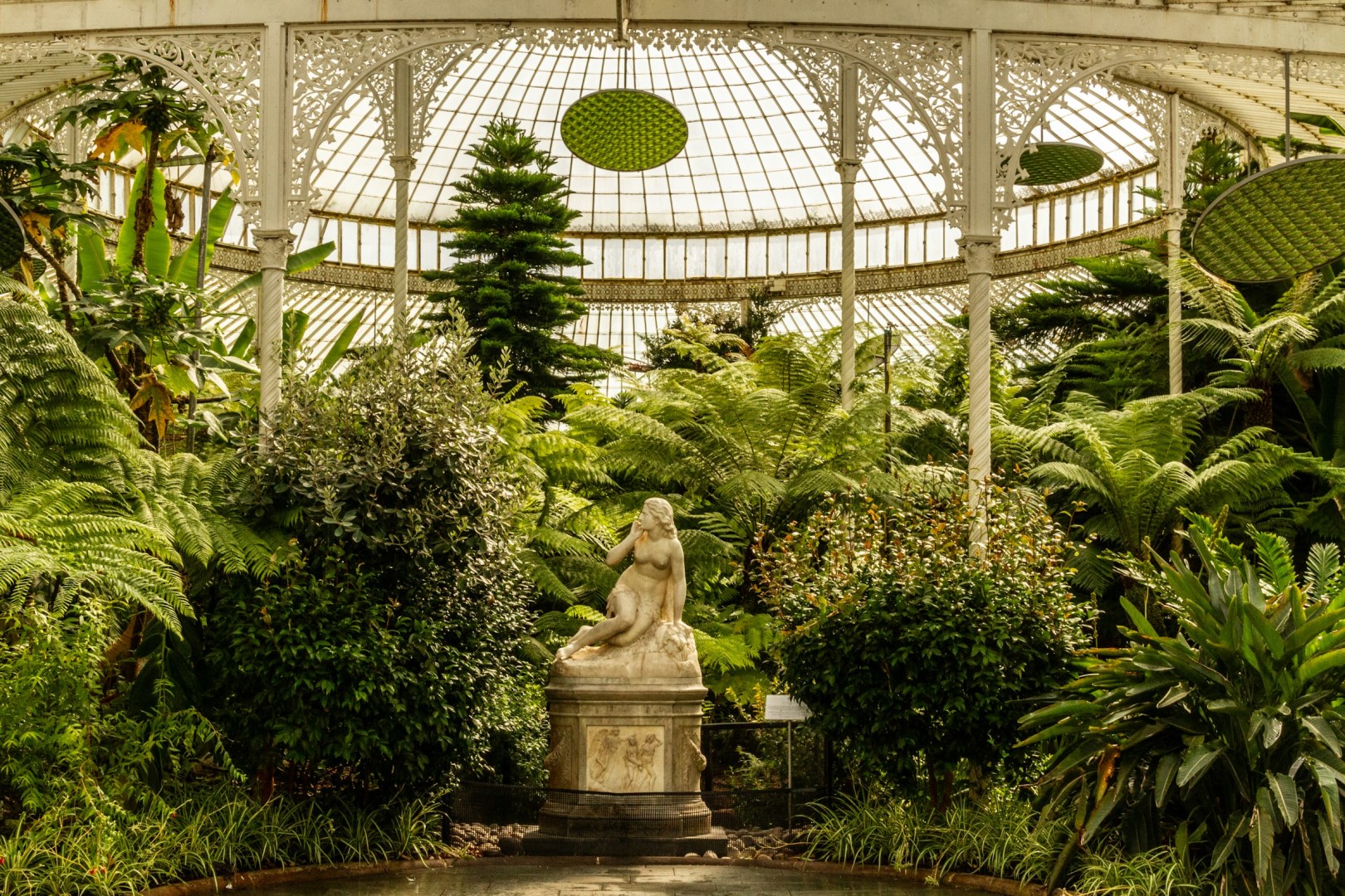 Glasgow Botanic Gardens - Photo Credit: Photo by m c on Unsplash
