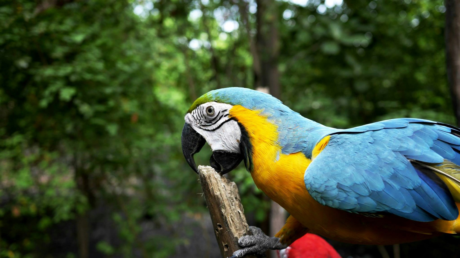  Photo Credit: Photo by Jim Pérez Cadena on Unsplash