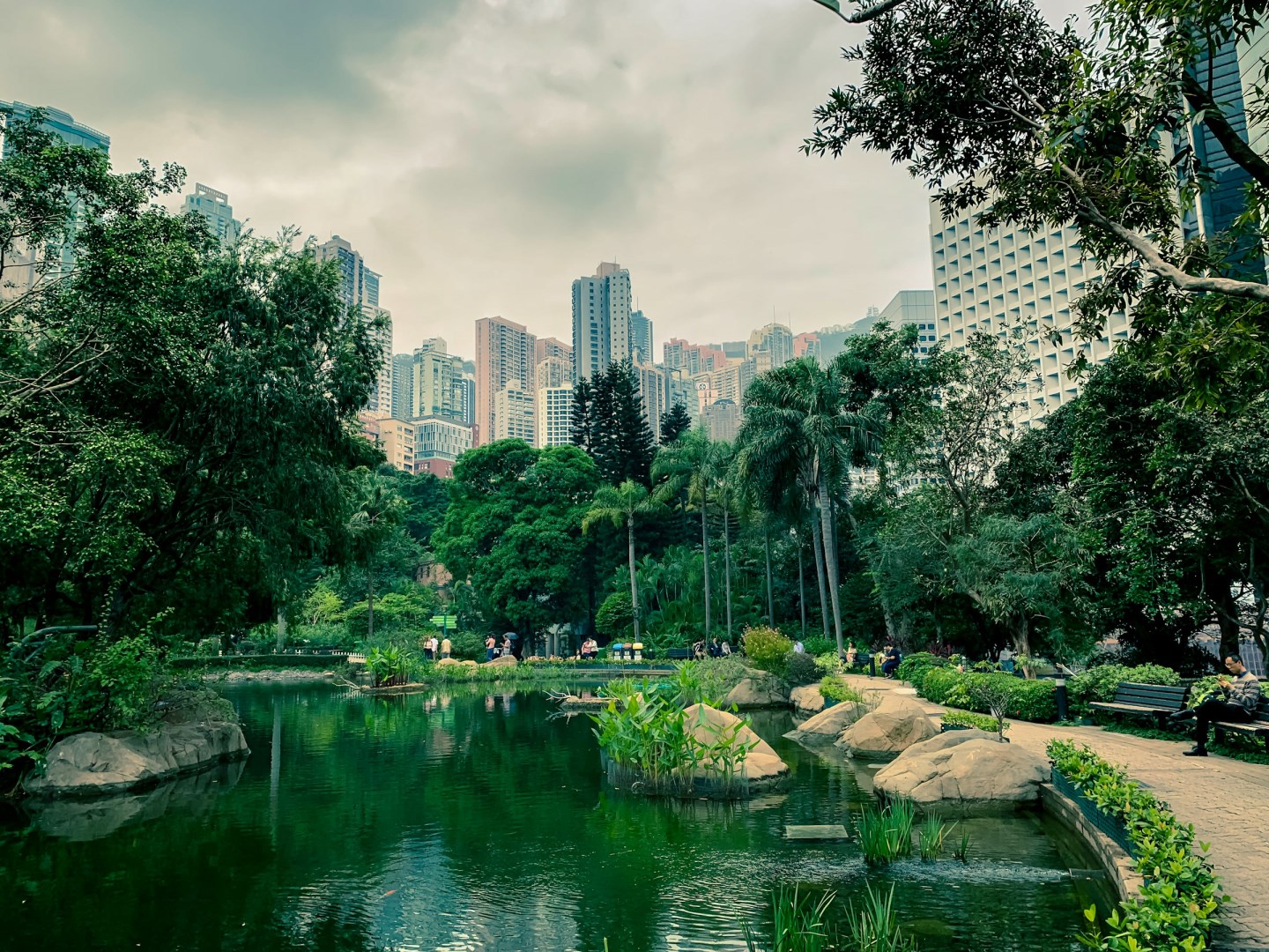  Photo Credit: Photo by Señor Ashraf on Unsplash