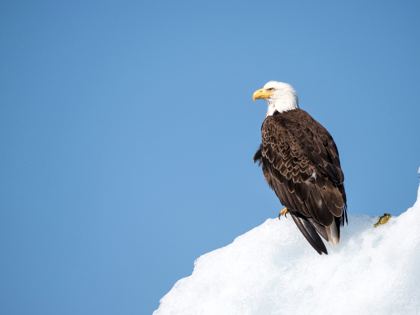  Photo Credit: Photo by Federico Artusi on Unsplash