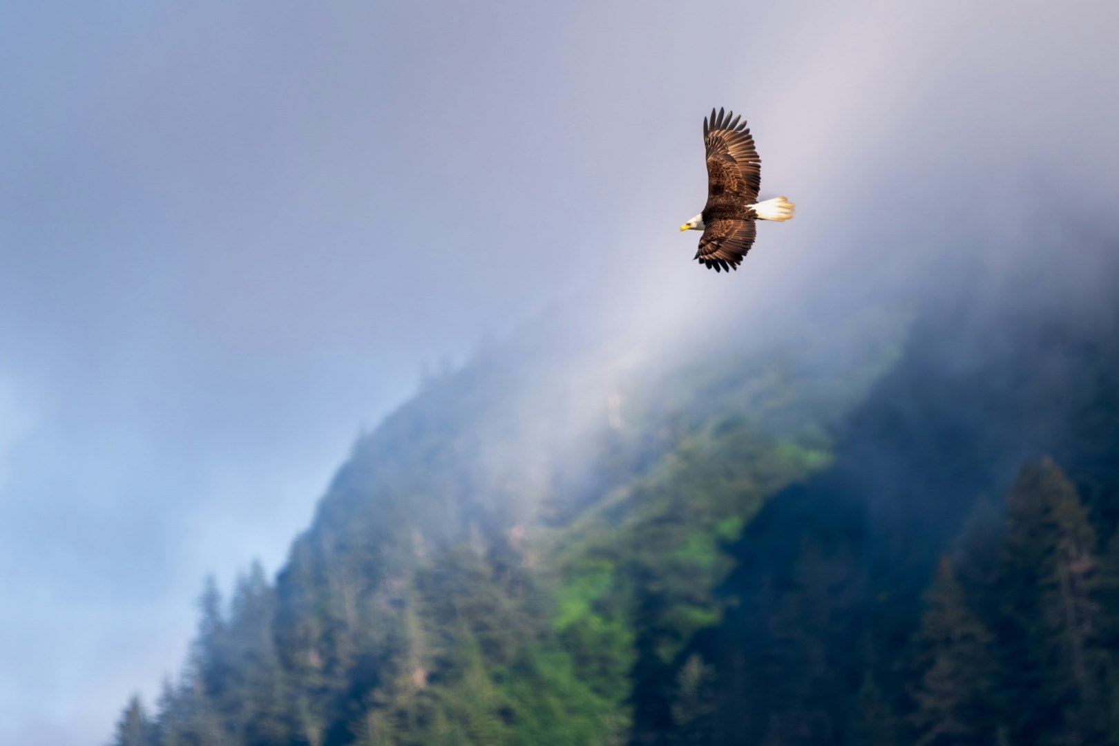  Photo Credit: Photo by Joseph Corl on Unsplash