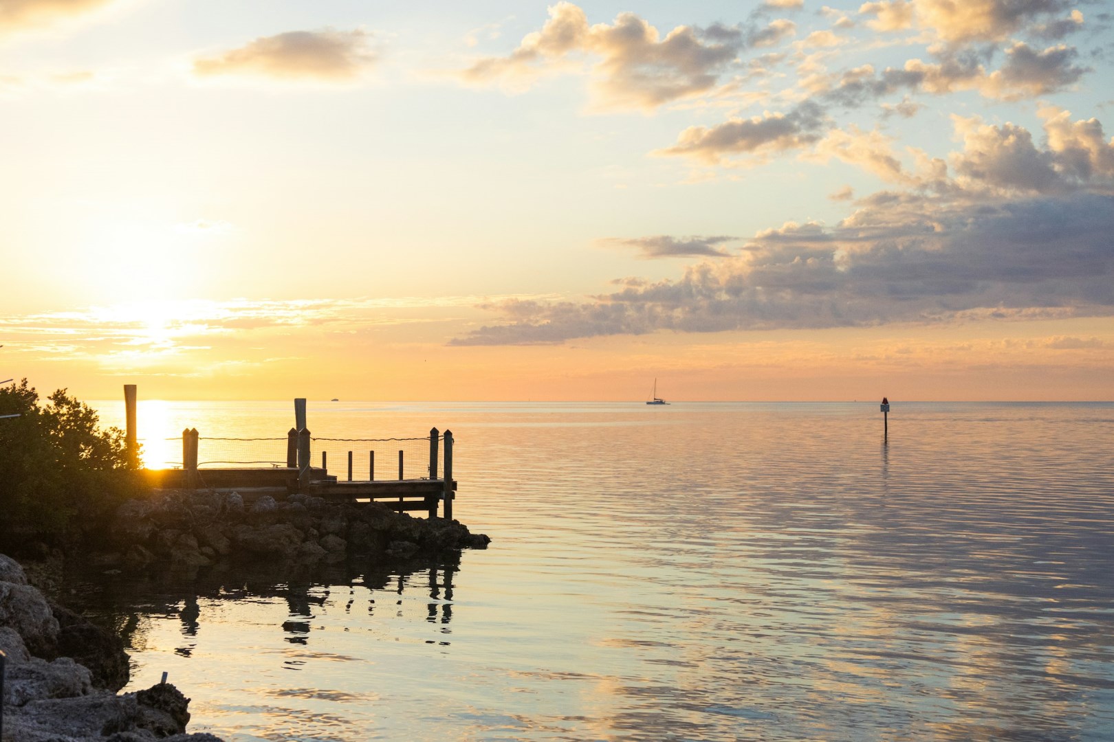  Photo Credit: Photo by Mick Kirchman on Unsplash