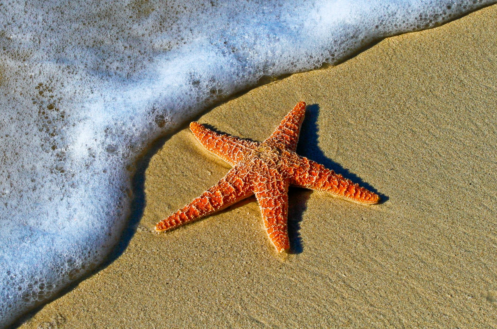  Photo Credit: Photo by Pedro Lastra on Unsplash