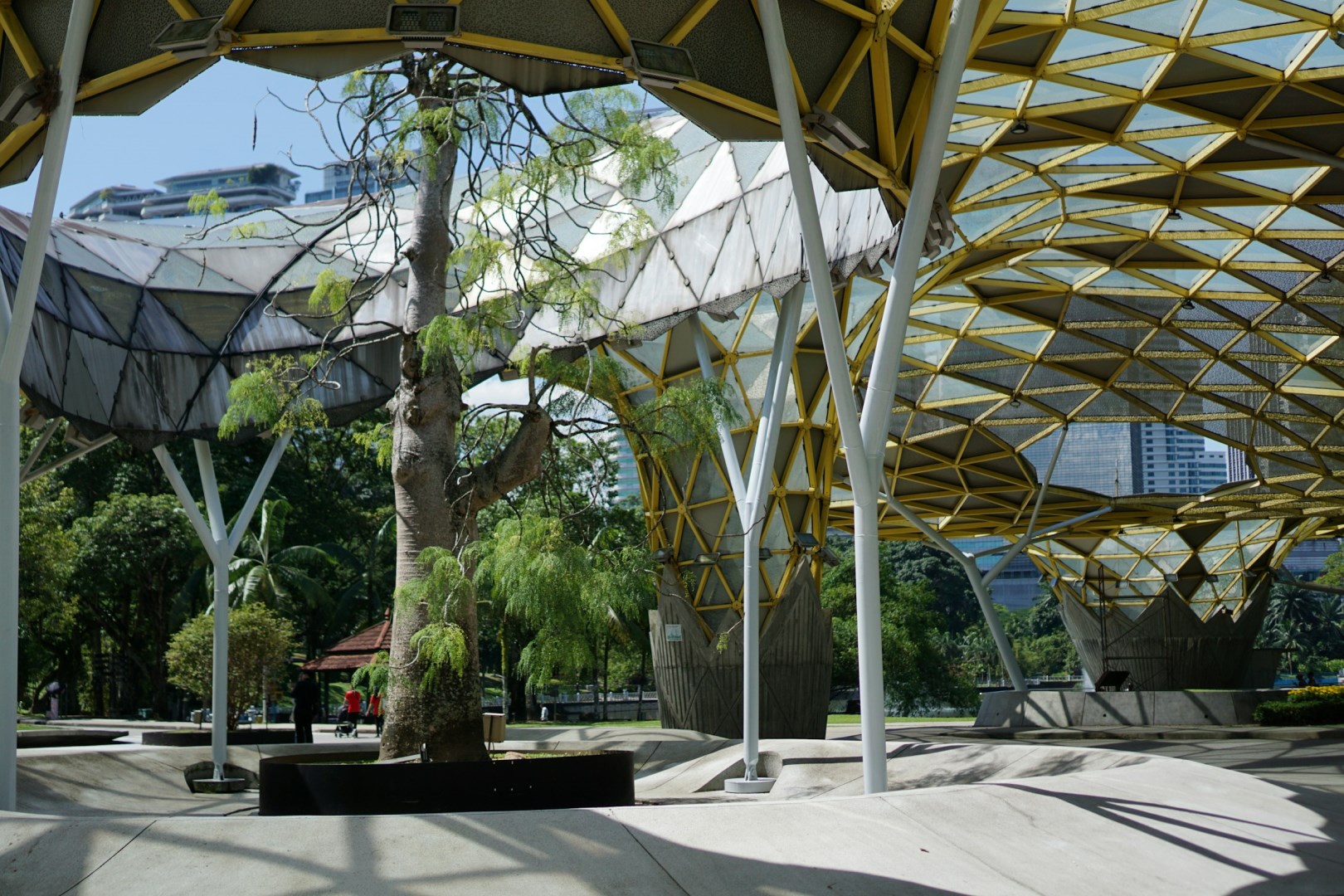 Perdana Botanical Gardens - Photo Credit: Photo by Yihui Chan on Unsplash