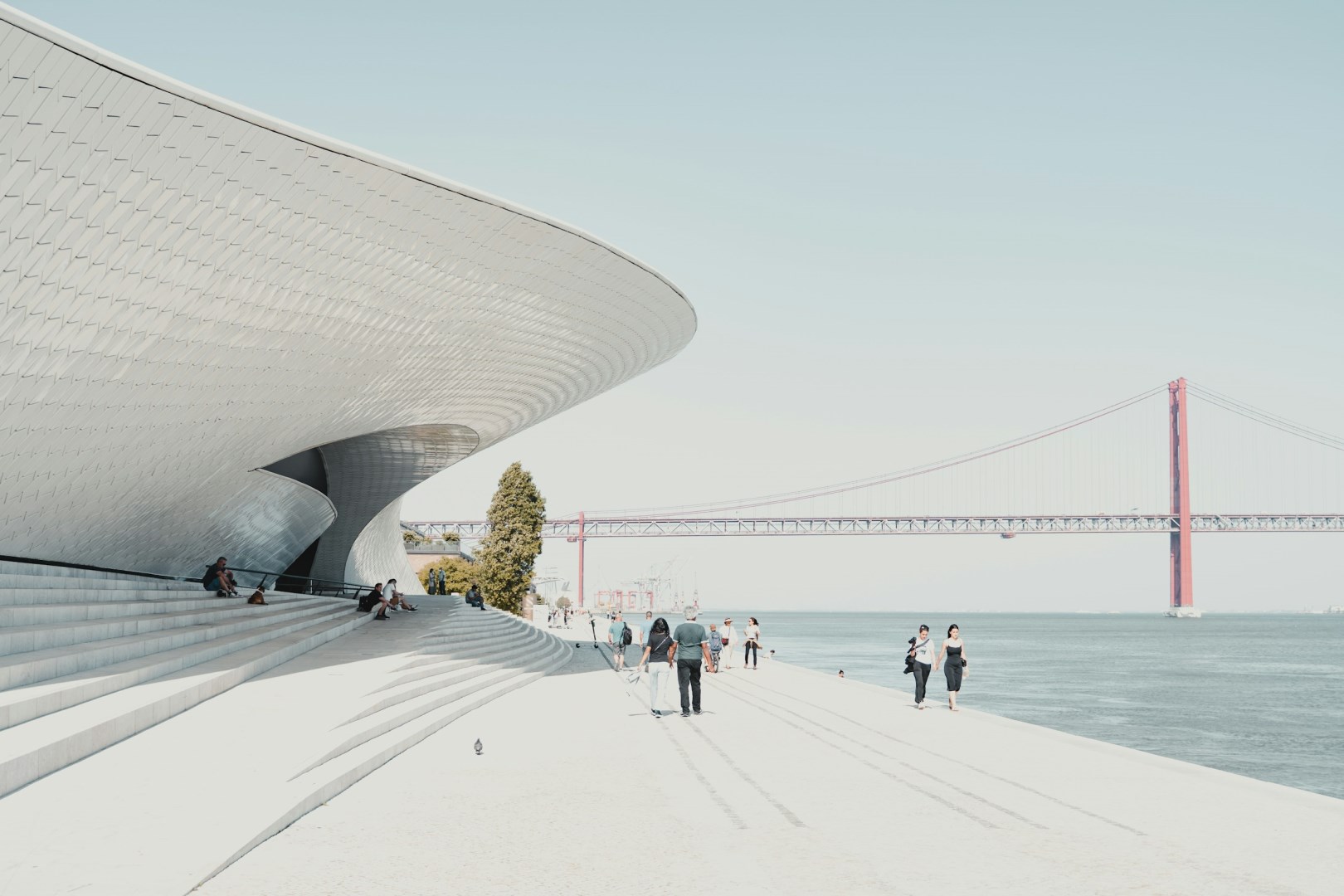  Photo Credit: Photo by Michiel Annaert on Unsplash