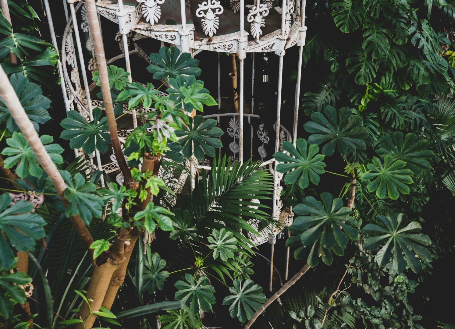 Kew Botanical Gardens - Photo Credit: Photo by Max Letek on Unsplash