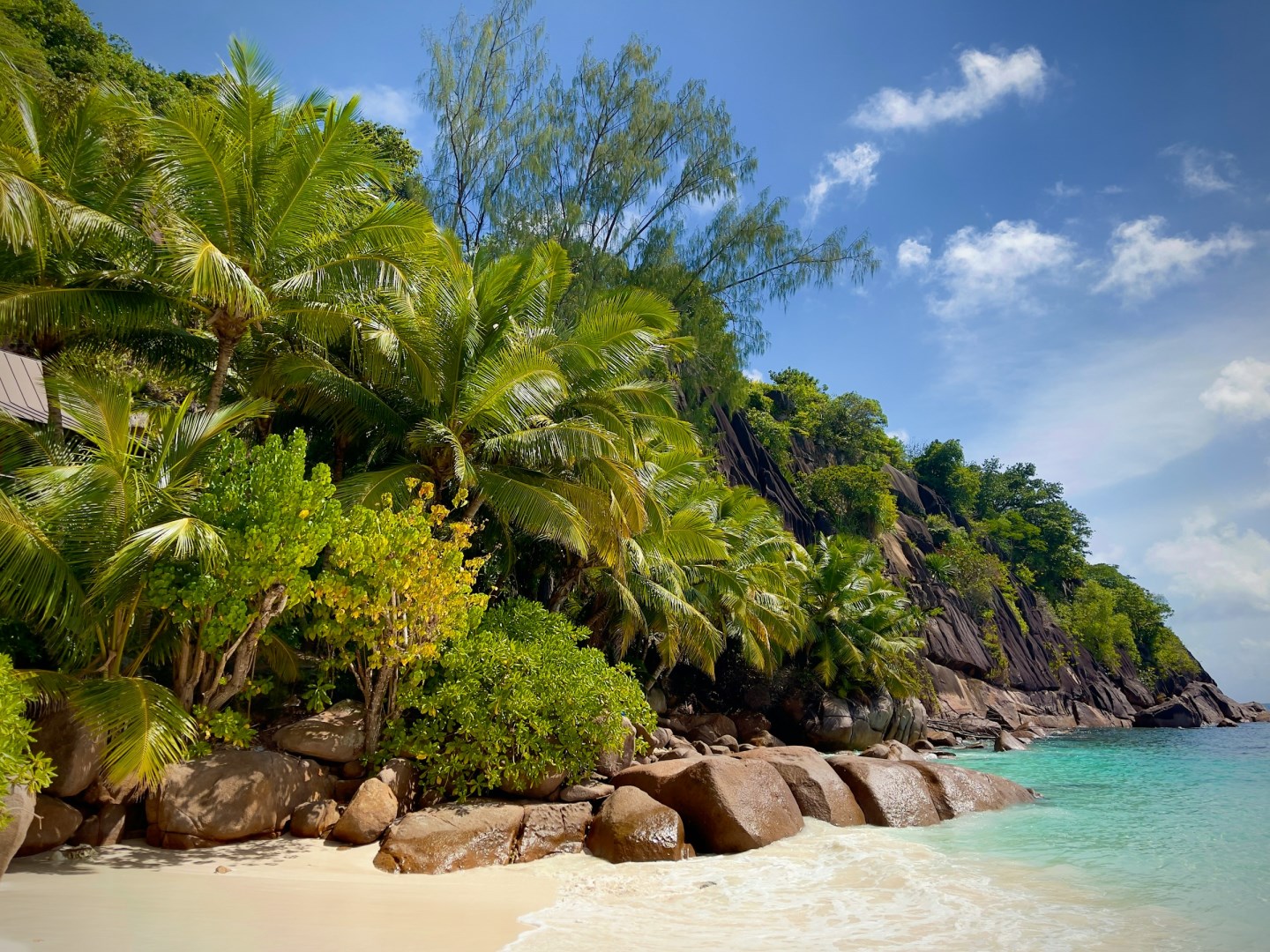 Anse Intendance - Photo Credit: Photo by Steffen Holzner on Unsplash