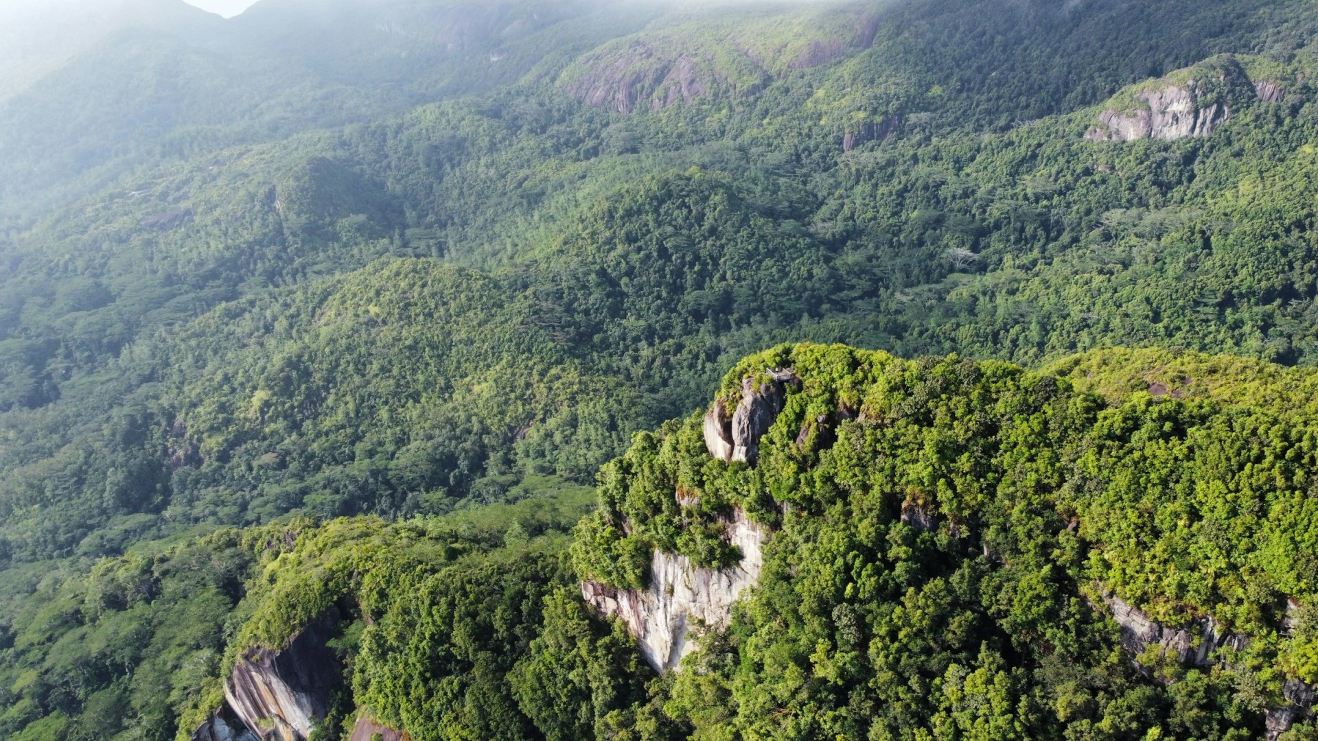 Morne Blanc - Photo Credit: Photo by seytales on Unsplash
