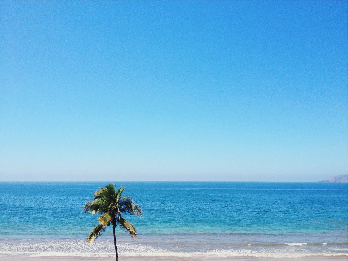  Photo Credit: Photo by Mysaell Armendariz on Unsplash