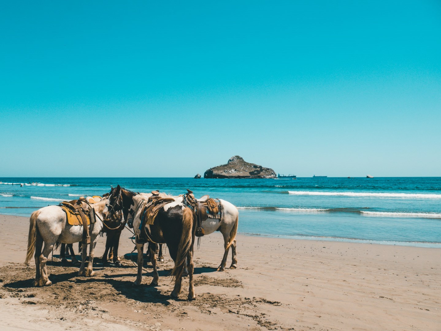  Photo Credit: Photo by Daniel Apodaca on Unsplash