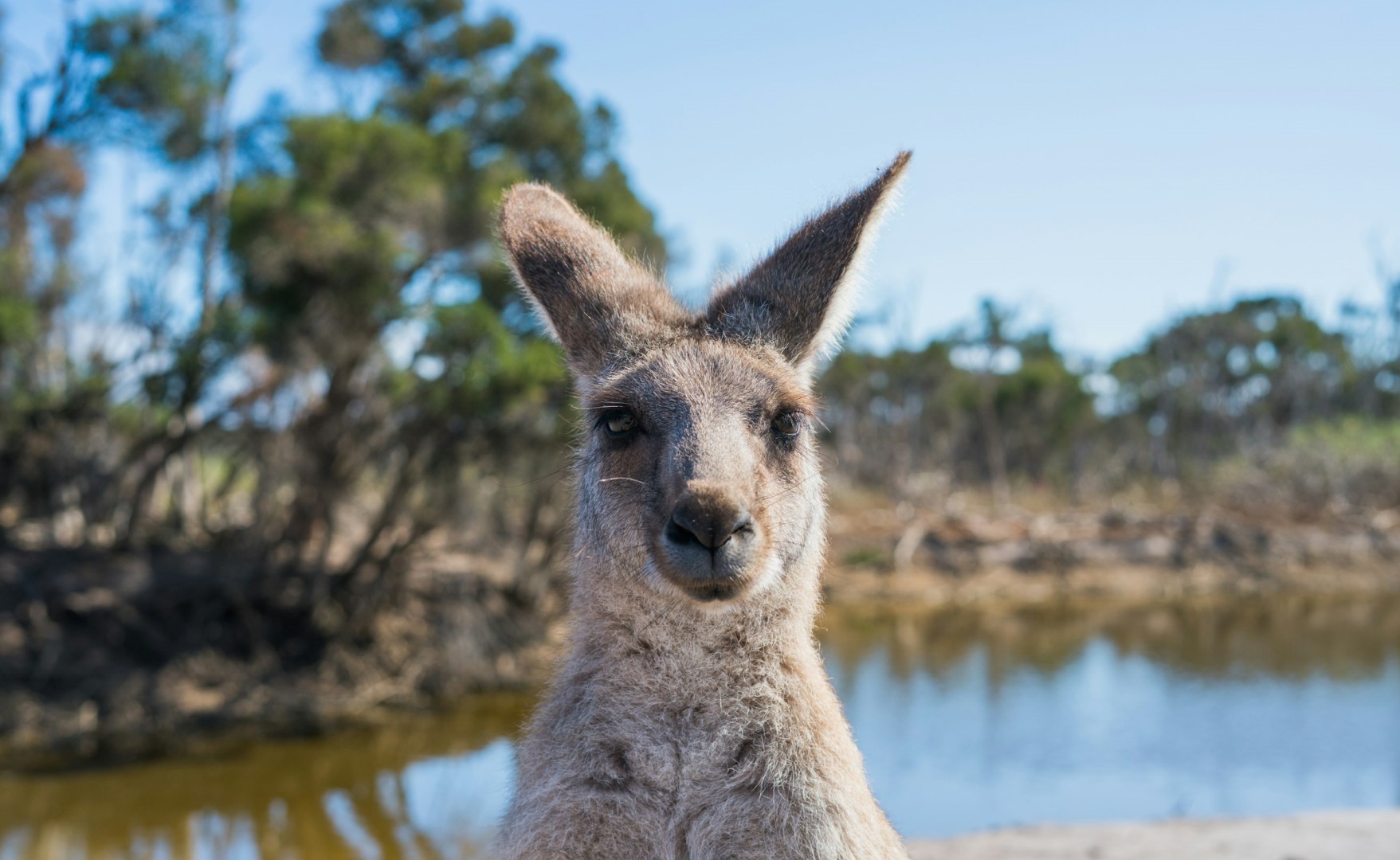  Photo Credit: Photo by Ethan Brooke on Unsplash