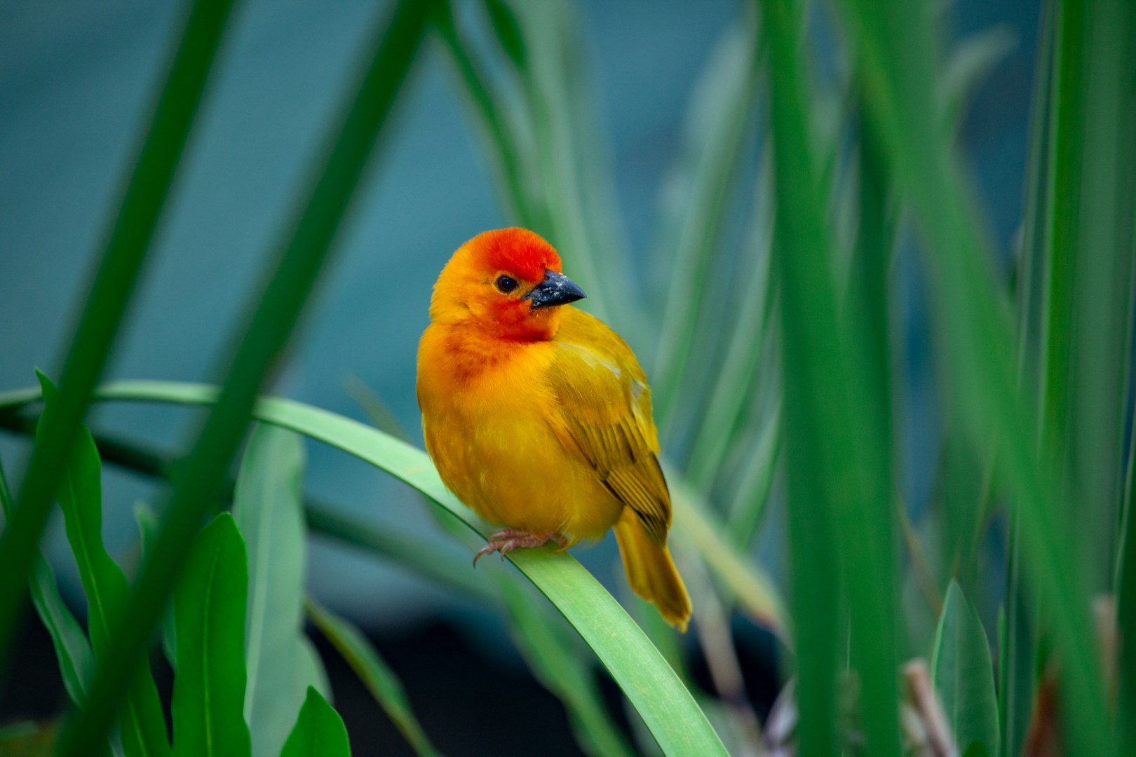  Photo Credit: Photo by Adams Korir on Unsplash