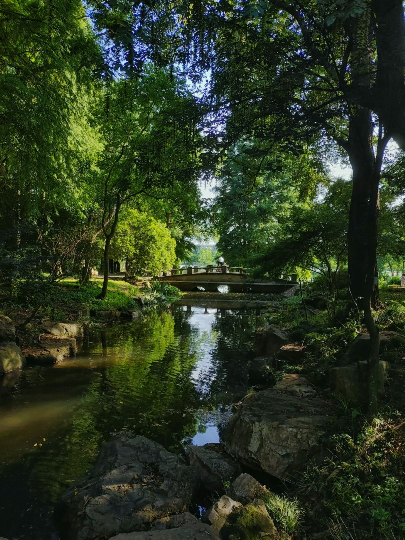  Photo Credit: Photo by 長聽 王 on Unsplash