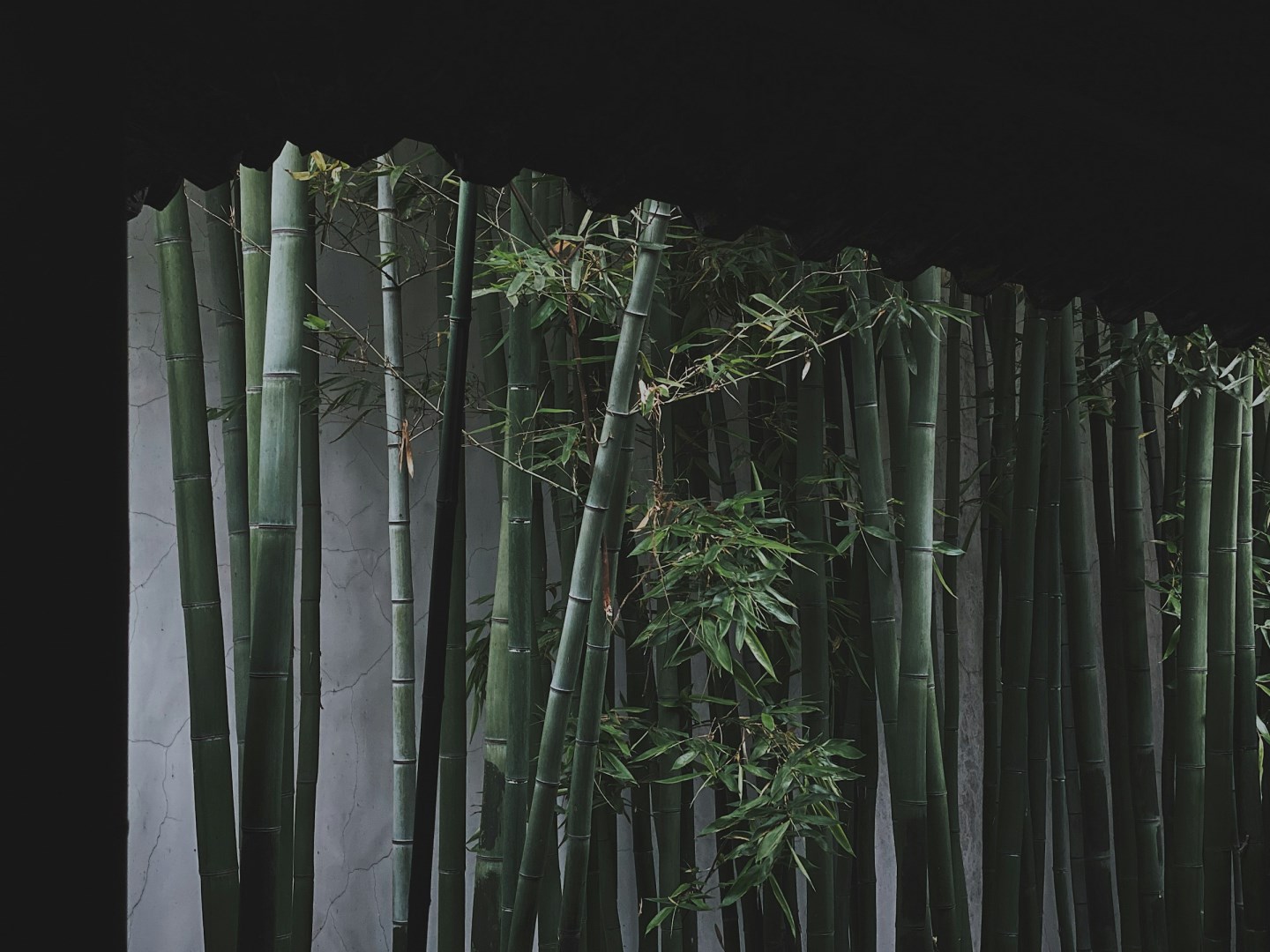 Photo Credit: Photo by Bruce Kun on Unsplash