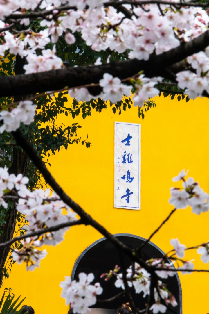  Photo Credit: Photo by Texco Kwok on Unsplash