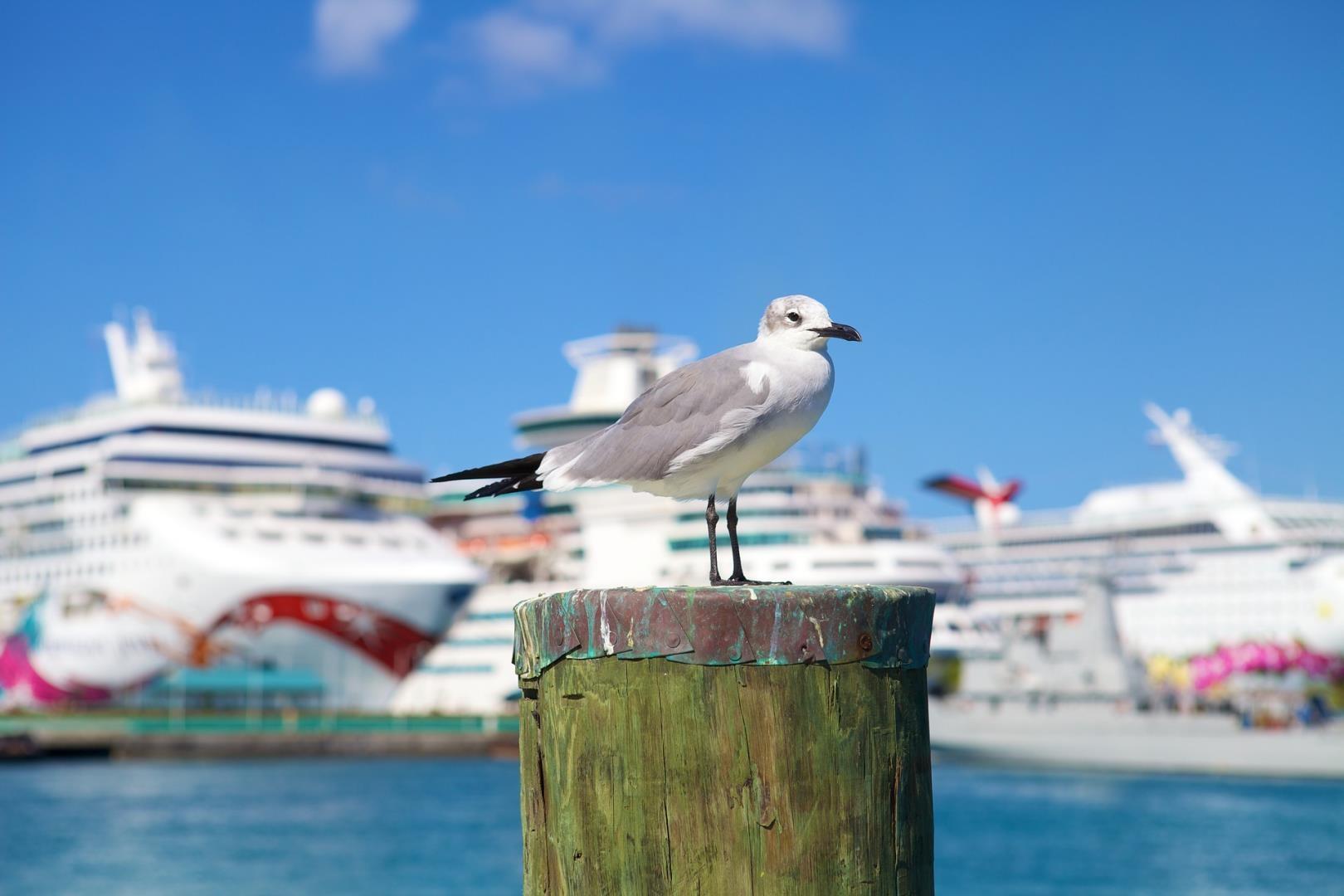 Nassau, Bahamas Nassau, Bahamas