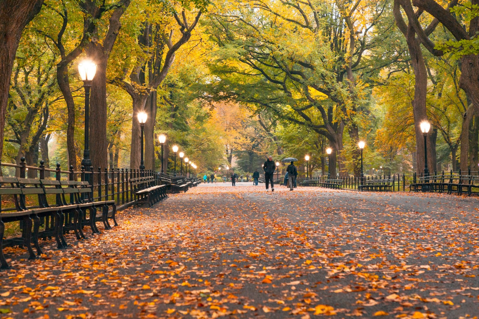 Central Park - Photo Credit: Photo by Andrea Belussi on Unsplash