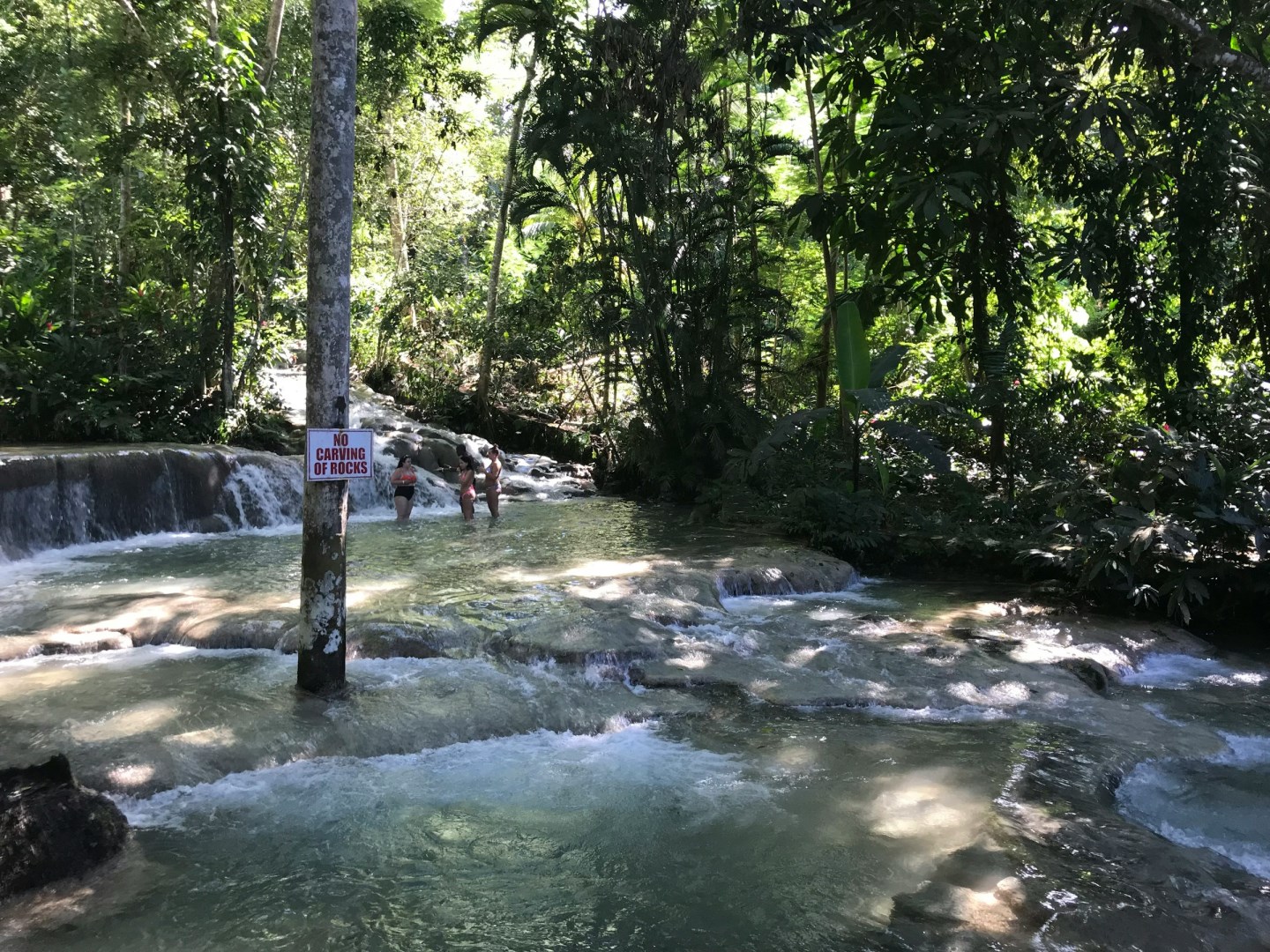 Dunns River Falls - Photo Credit: Photo by Alexander John on Unsplash