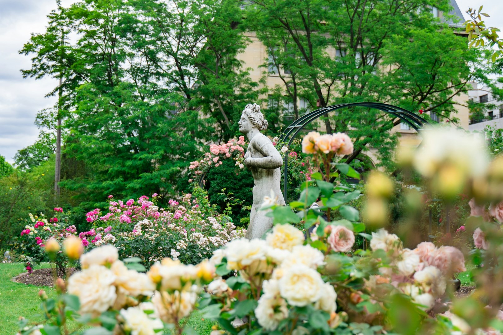 Jardin des Plantes - Photo Credit: Photo by Daphné Be Frenchie on Unsplash