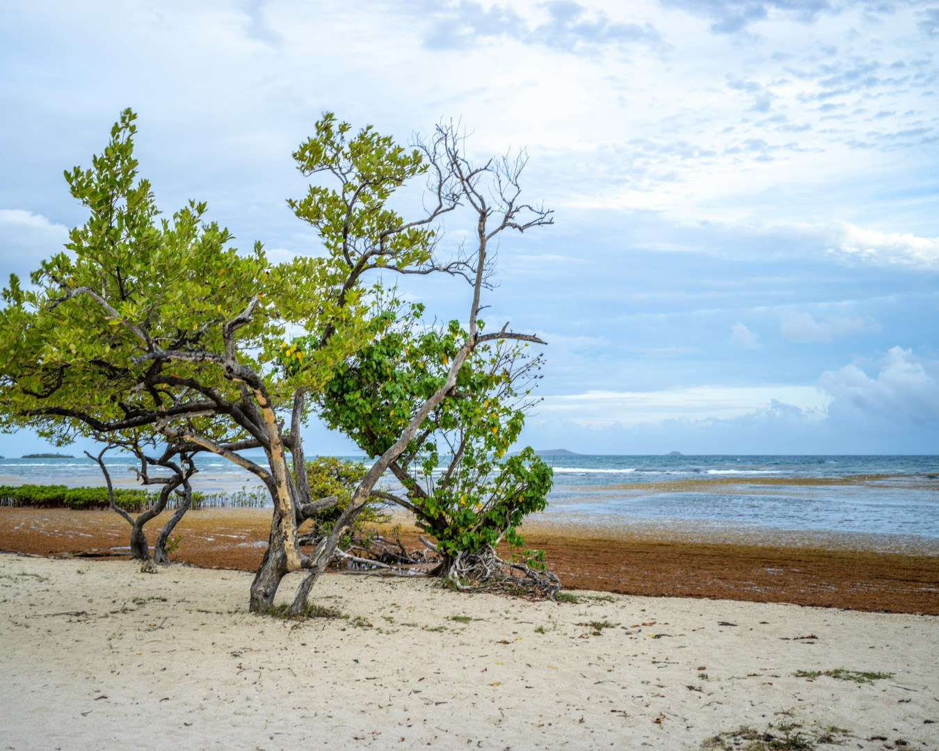 Photo Credit: Photo by pedro colon on Unsplash