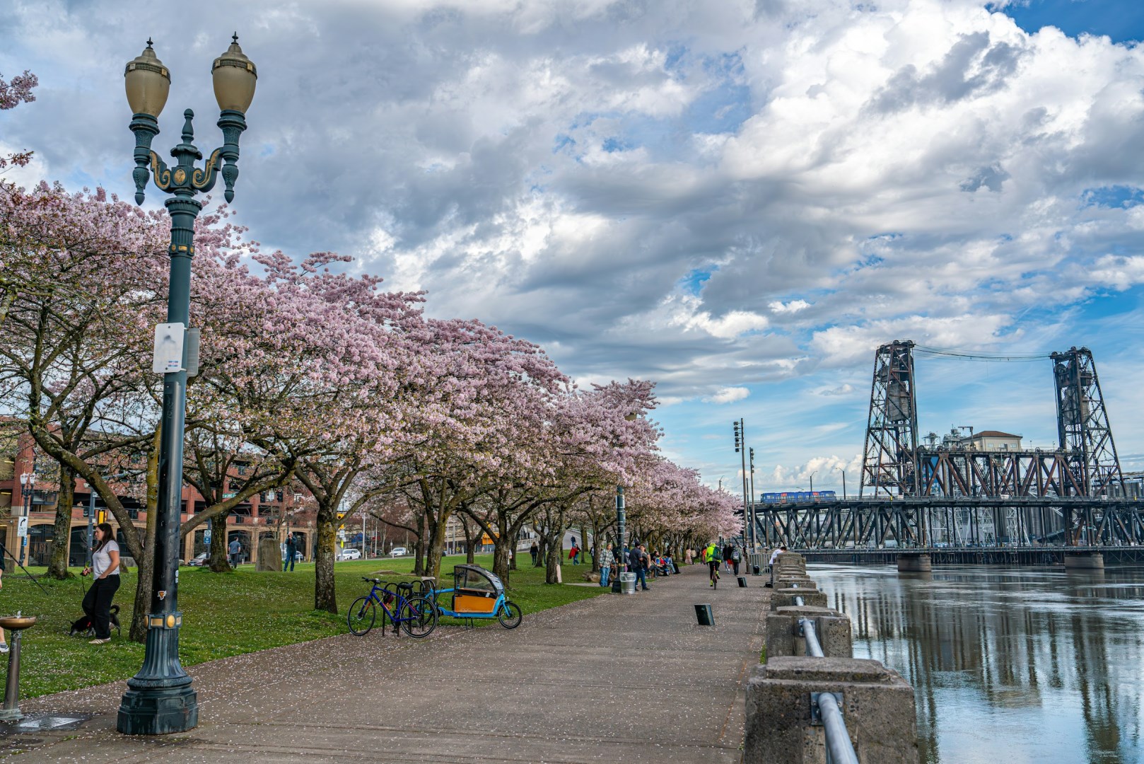 Tom McCall Waterfront Park in the Spring - Photo Credit: Photo by Richard Hedrick on Unsplash