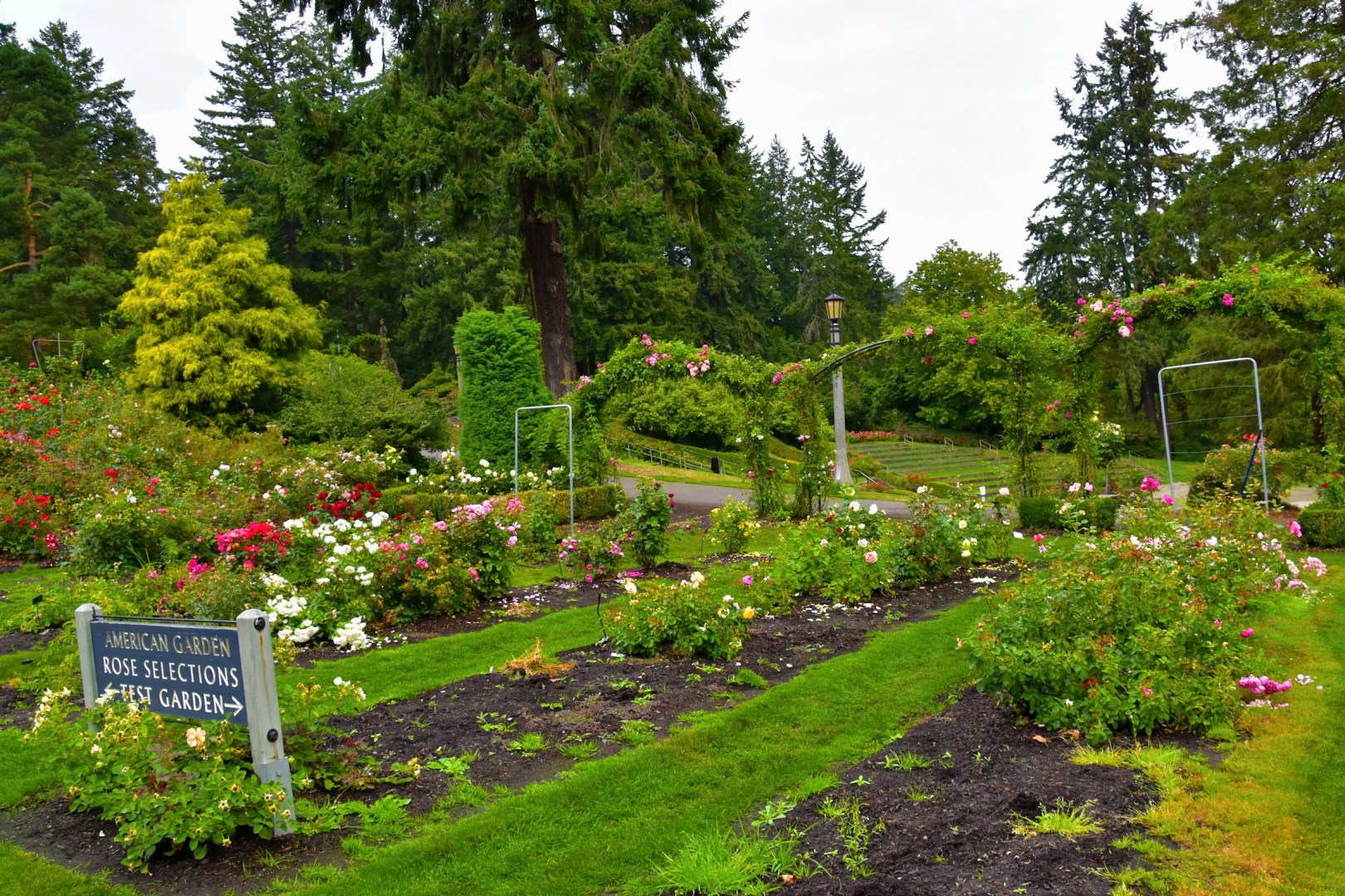 International Rose Test Garden - Photo Credit: Photo by Jeffrey Eisen on Unsplash