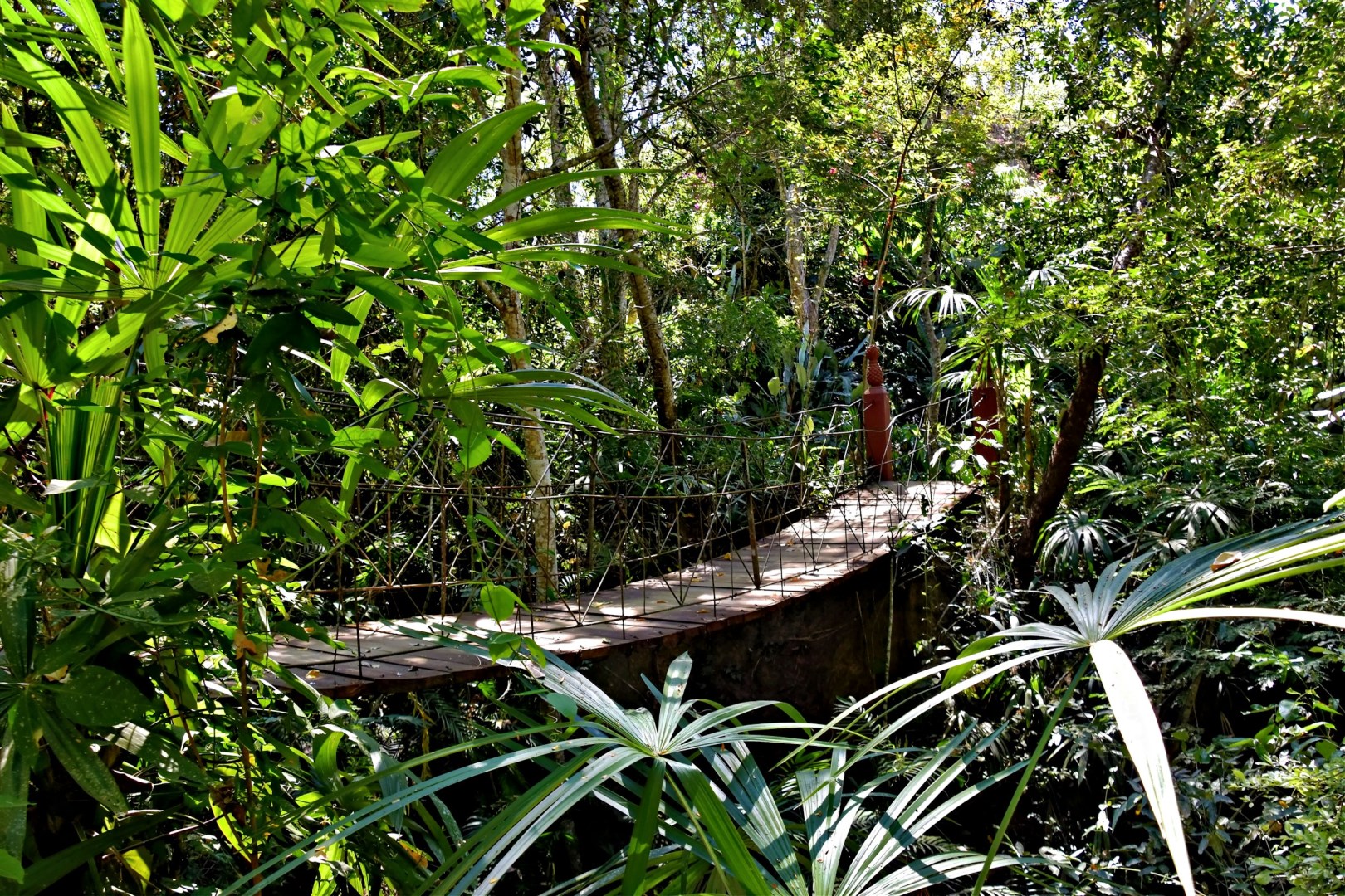 Vallarta Botanical Gardens - Photo Credit: Photo by Jeffrey Eisen on Unsplash