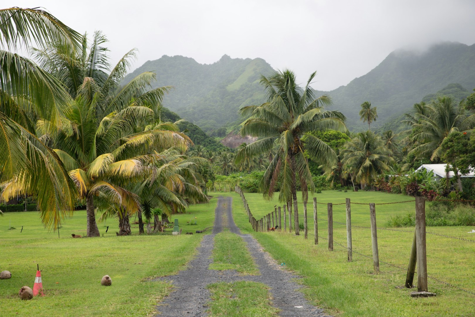  Photo Credit: Photo by Colton Jones on Unsplash