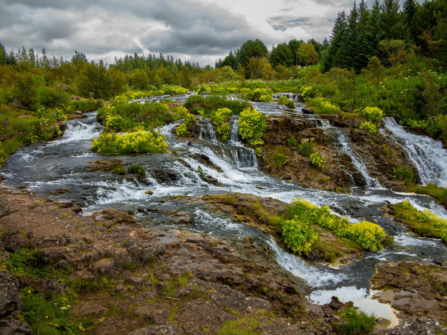 Elliðaár - Photo Credit: Photo by Einar H. Reynis on Unsplash