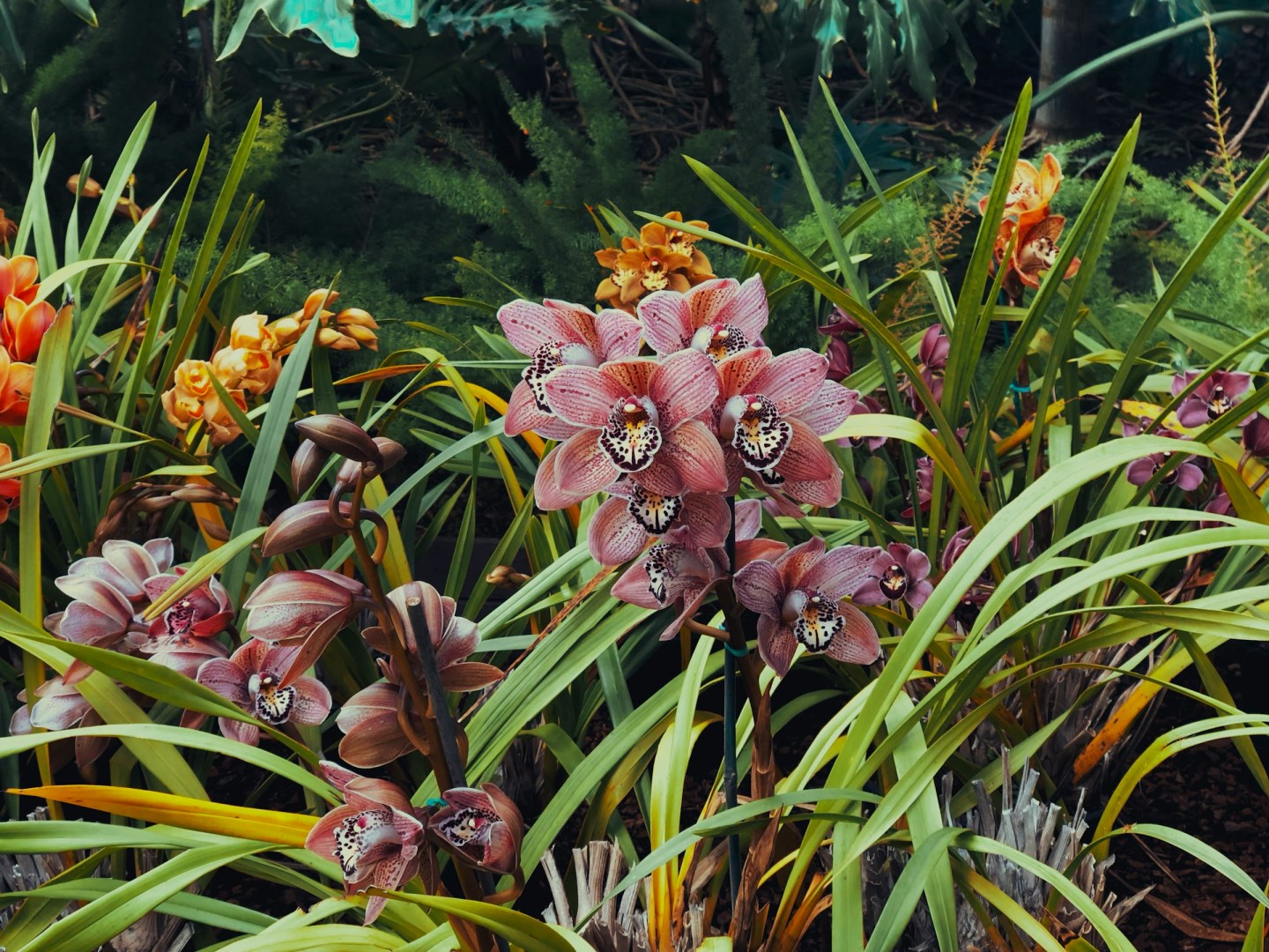 Balboa Park - Photo Credit: Photo by Alex Hand on Unsplash