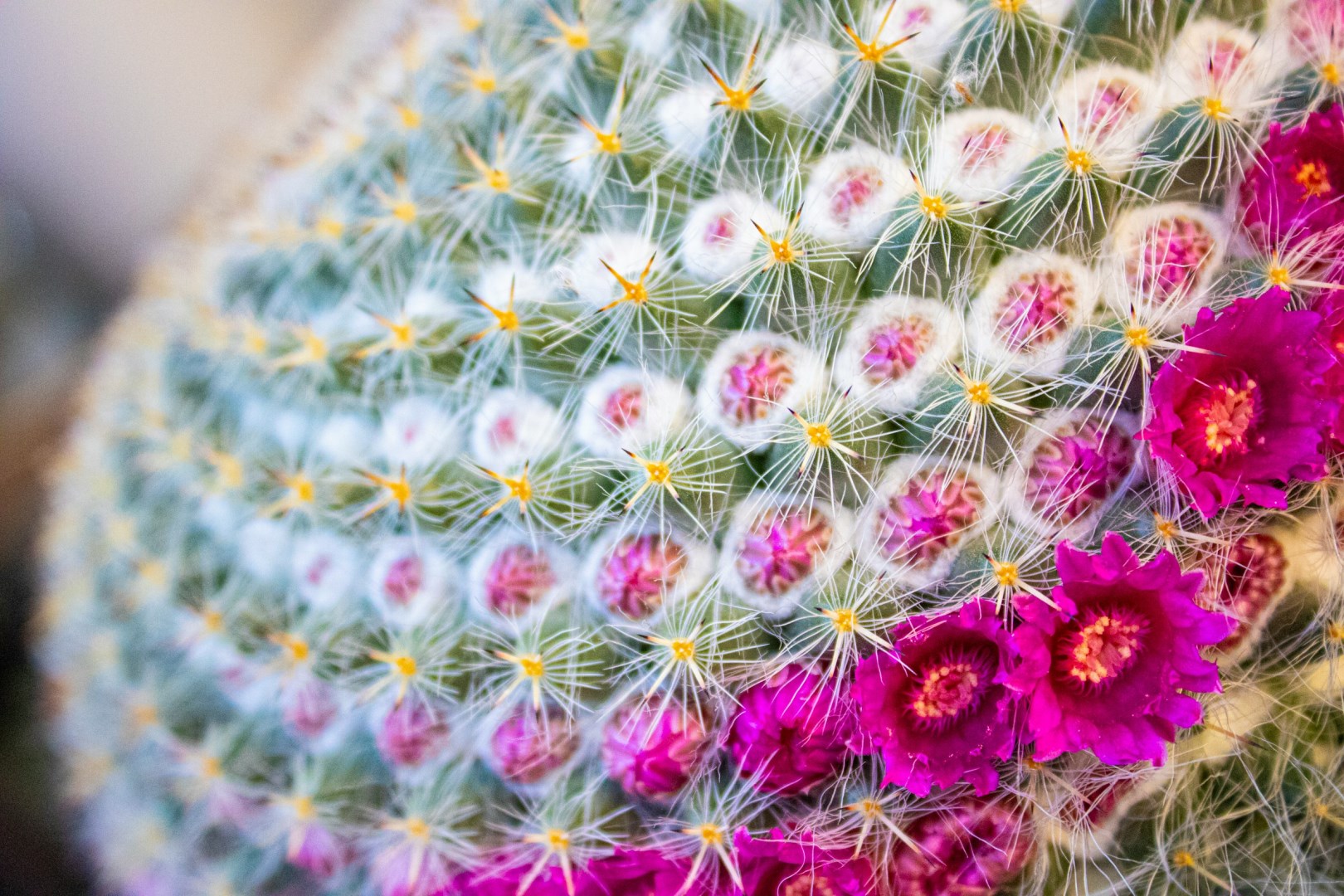 Photo Credit: Photo by Stephanie Moore on Unsplash