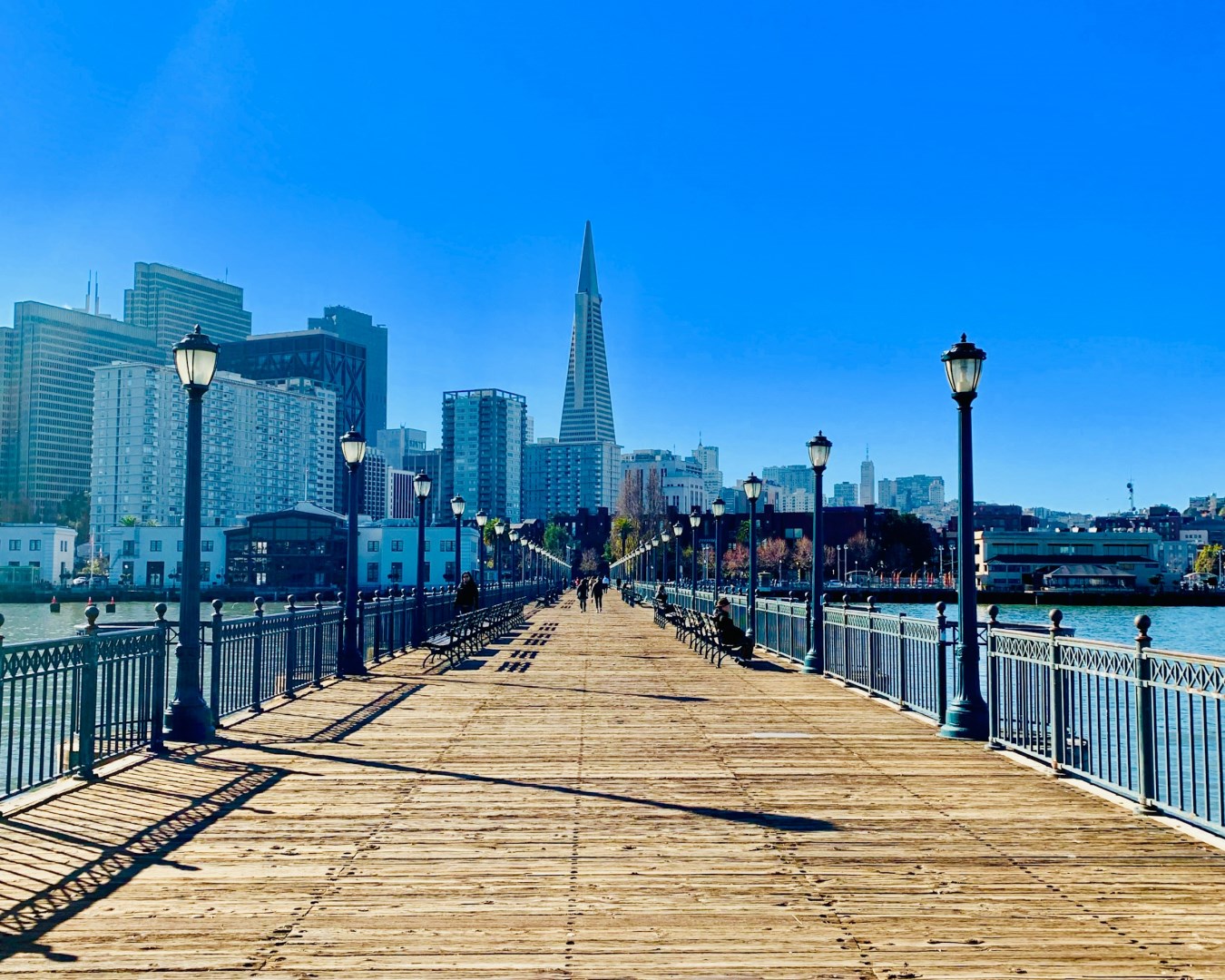 Transamerica Pyramid - Photo Credit: Photo by C.Valdez on Unsplash