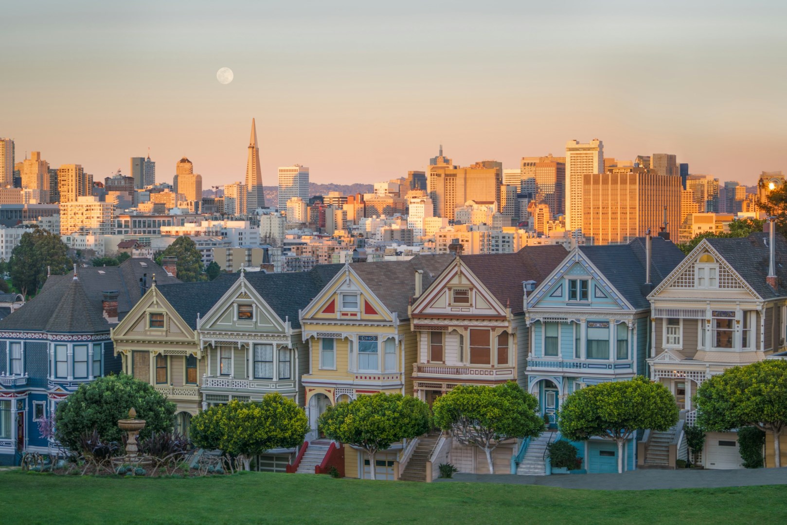Painted Ladies - Photo Credit: Photo by Joshua Sortino on Unsplash