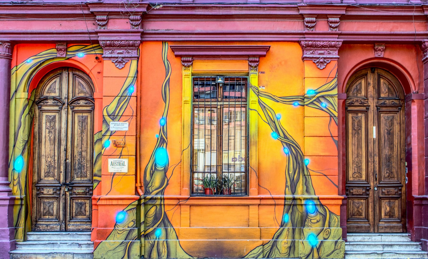  Photo Credit: Photo by Luis Alfonso Orellana on Unsplash