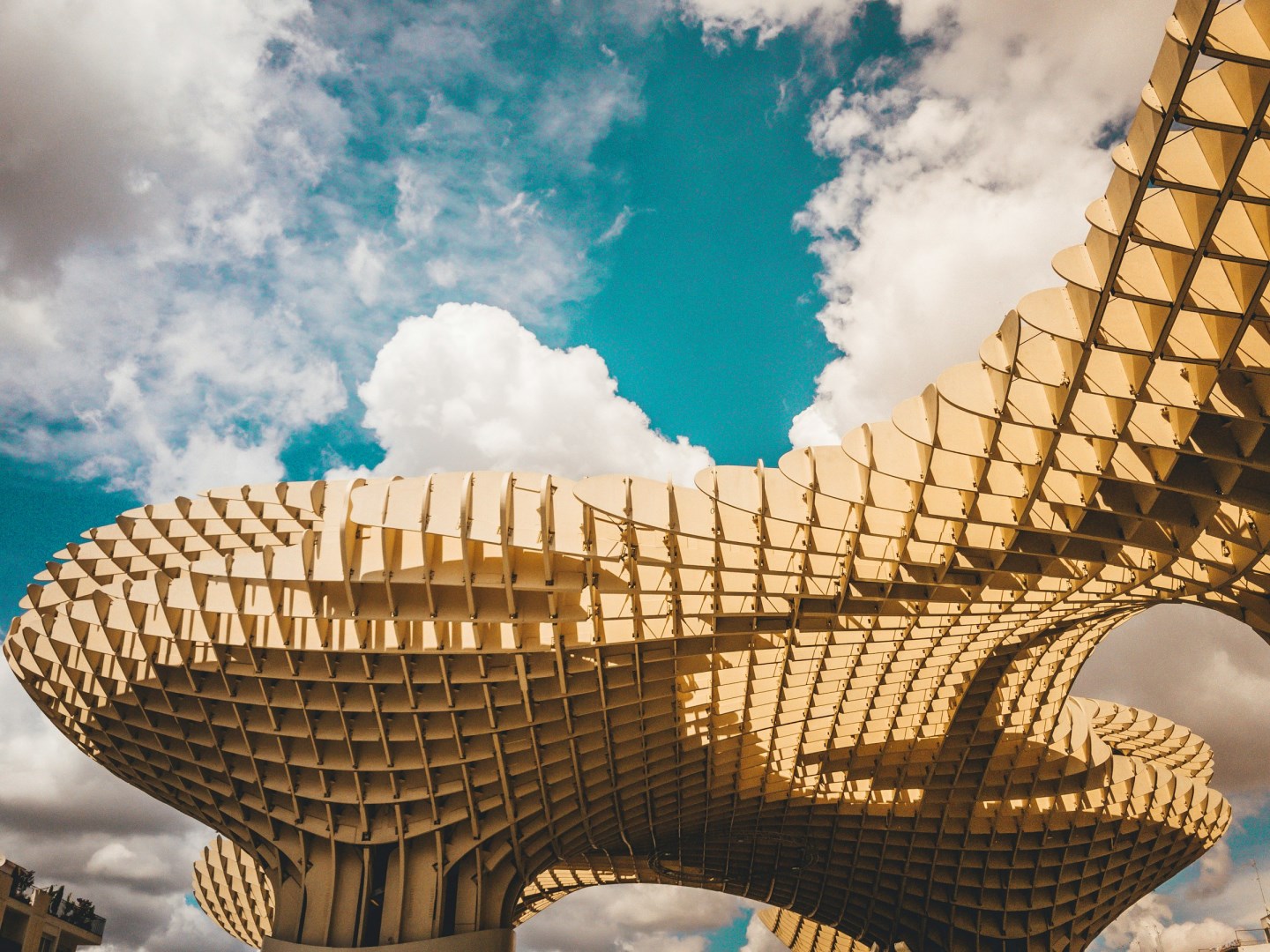 Setas de Sevilla - Photo Credit: Photo by Vinicius Eloy Bailo on Unsplash