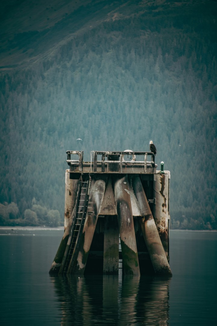  Photo Credit: Photo by Corey Simoneau on Unsplash