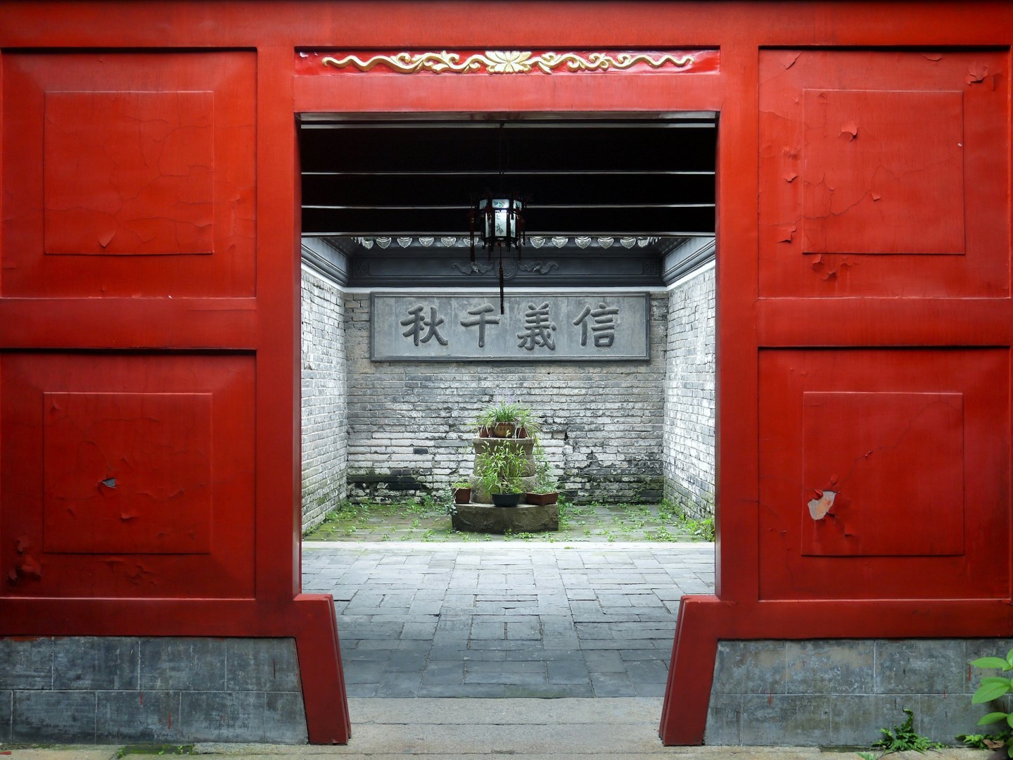  Photo Credit: Photo by A F on Unsplash