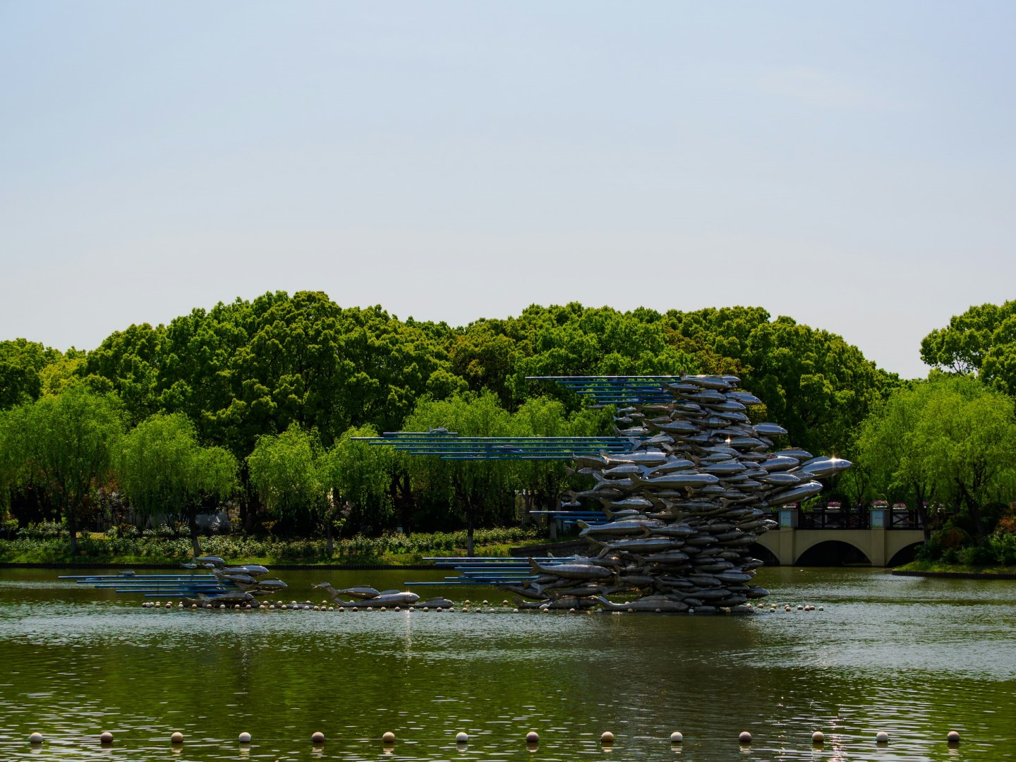 Pudong - Photo Credit: Photo by Declan Sun on Unsplash