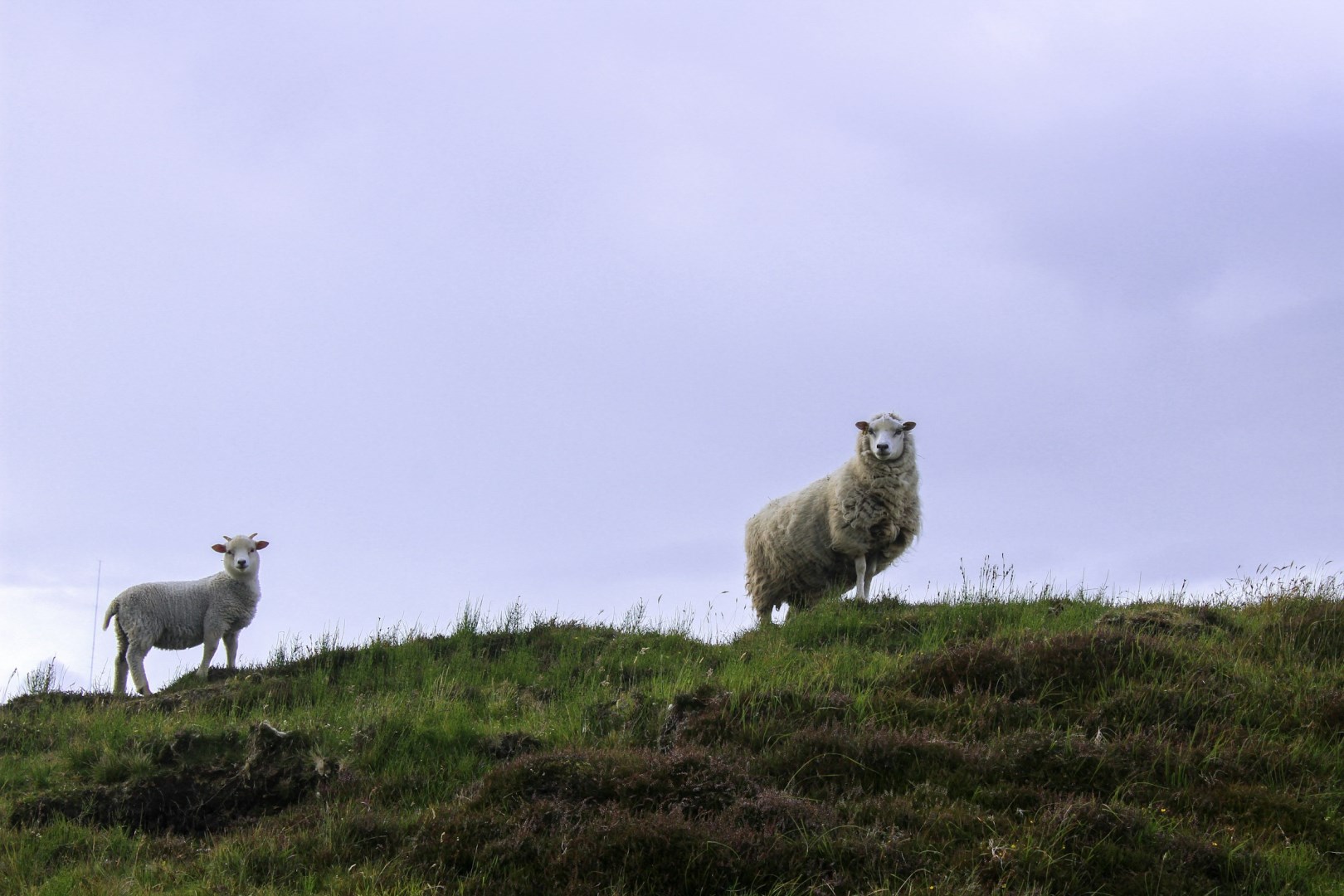  Photo Credit: Photo by Robert Witański on Unsplash