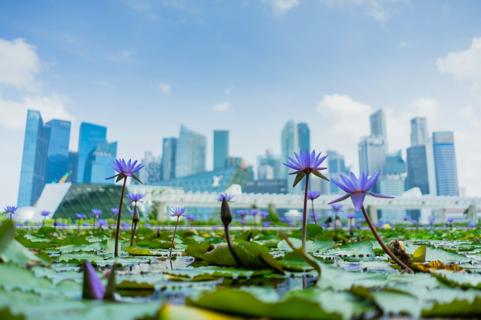  Photo Credit: Photo by Muhammad Faiz Zulkeflee on Unsplash