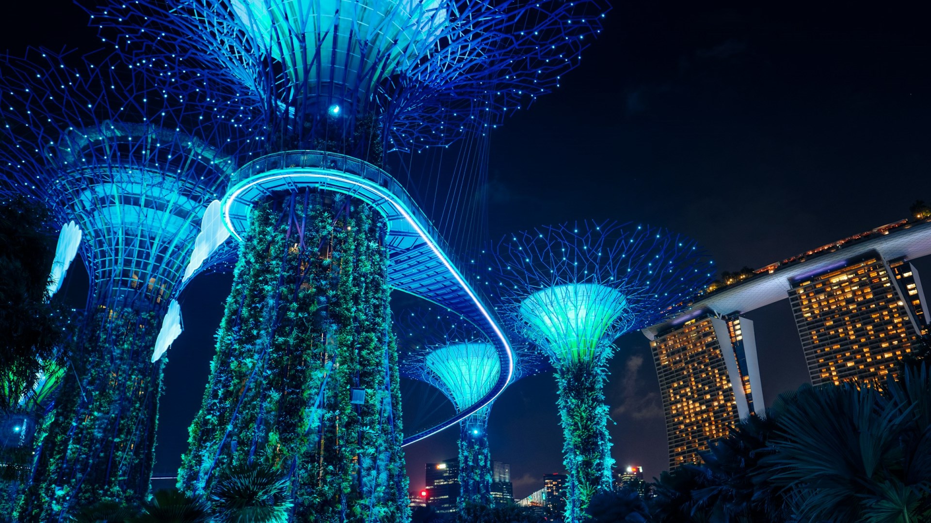 Gardens by the Bay - Photo Credit: Photo by Jan Folwarczny on Unsplash