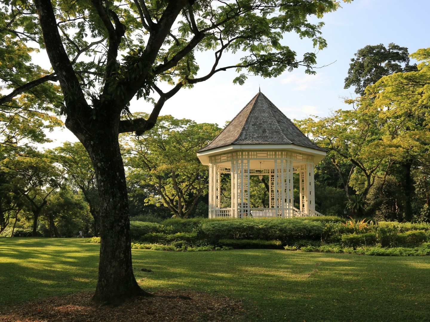 Singapore Botanic Gardens - Photo Credit: Photo by Hongbin on Unsplash