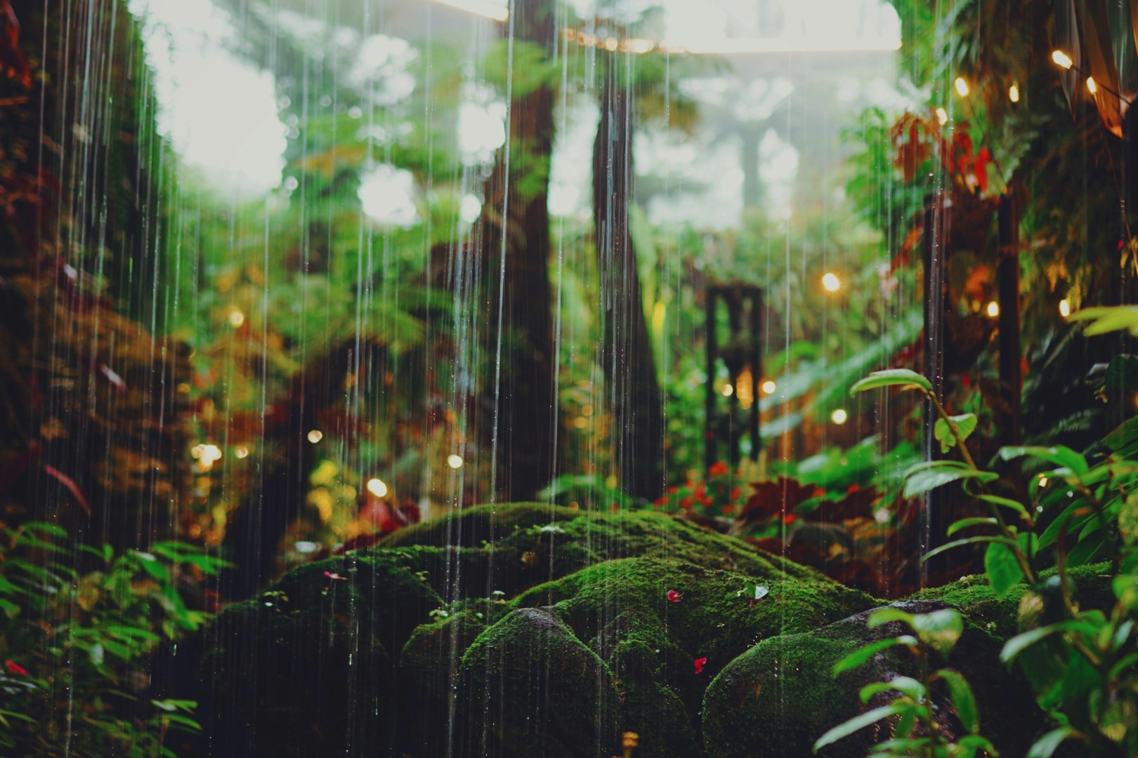 Gardens by the Bay - Photo Credit: Photo by MF Evelyn on Unsplash