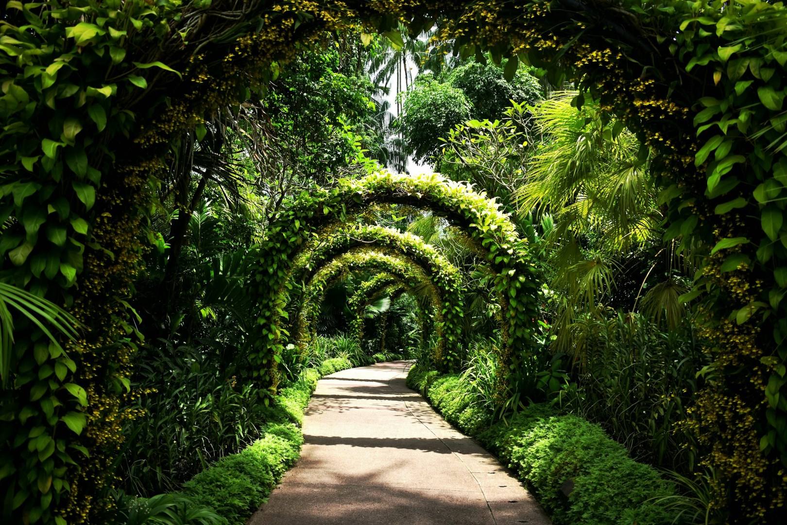 Singapore Botanic Gardens - Photo Credit: Photo by Simon Wiedensohler on Unsplash