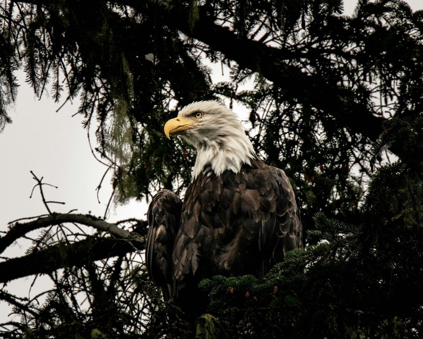  Photo Credit: Photo by Eric Hooper on Unsplash