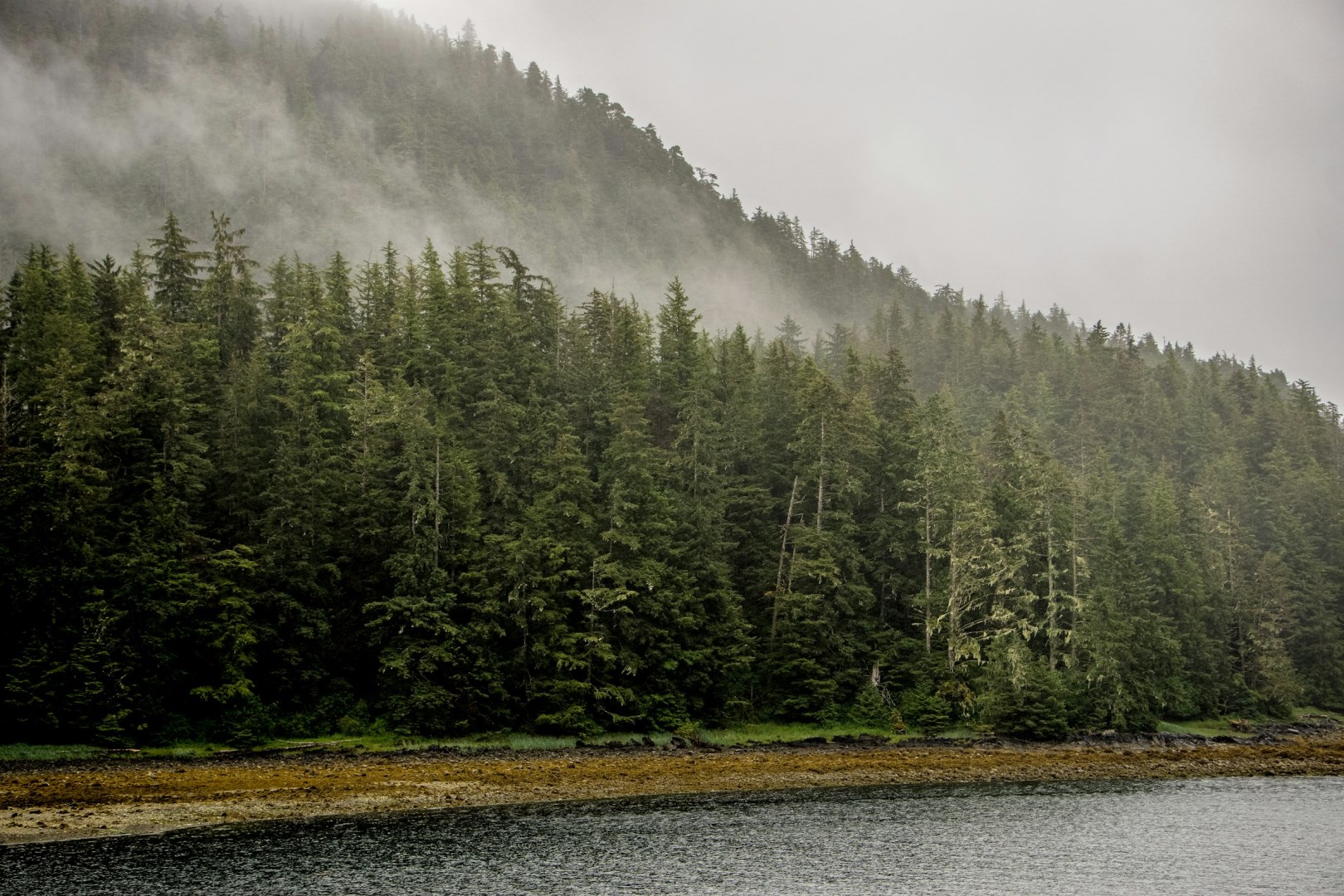  Photo Credit: Photo by E Orlando on Unsplash