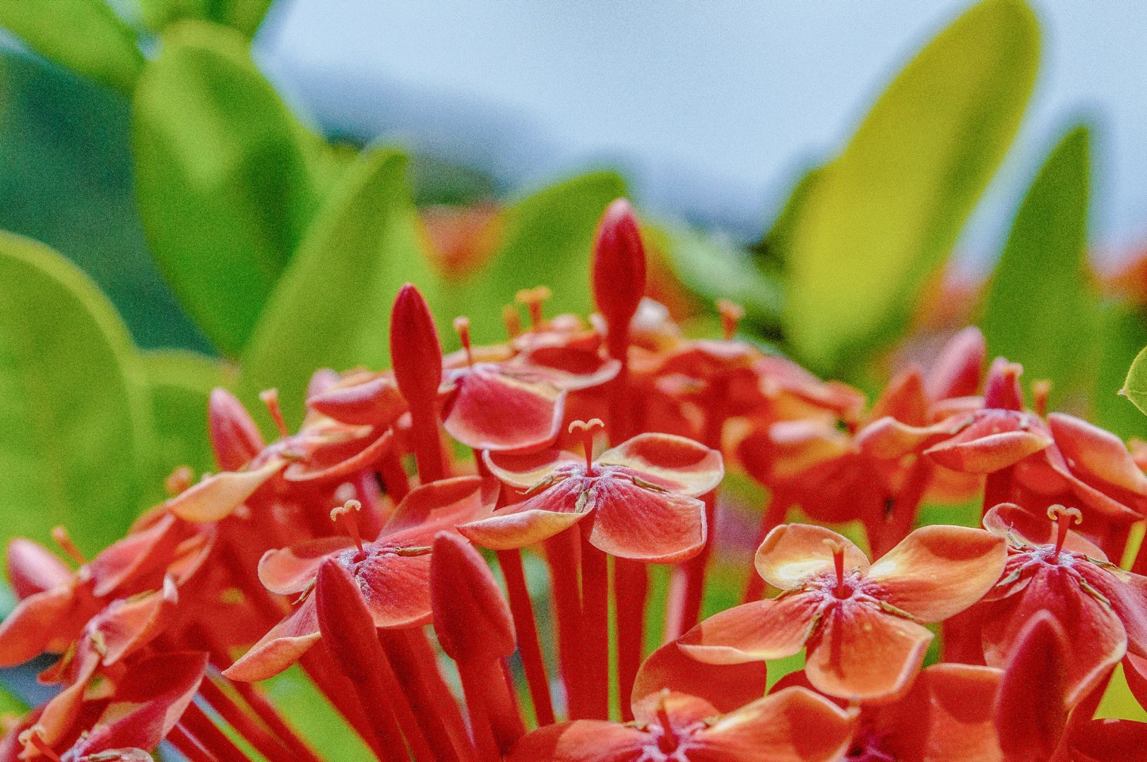  Photo Credit: Photo by Jamie Tudor on Unsplash